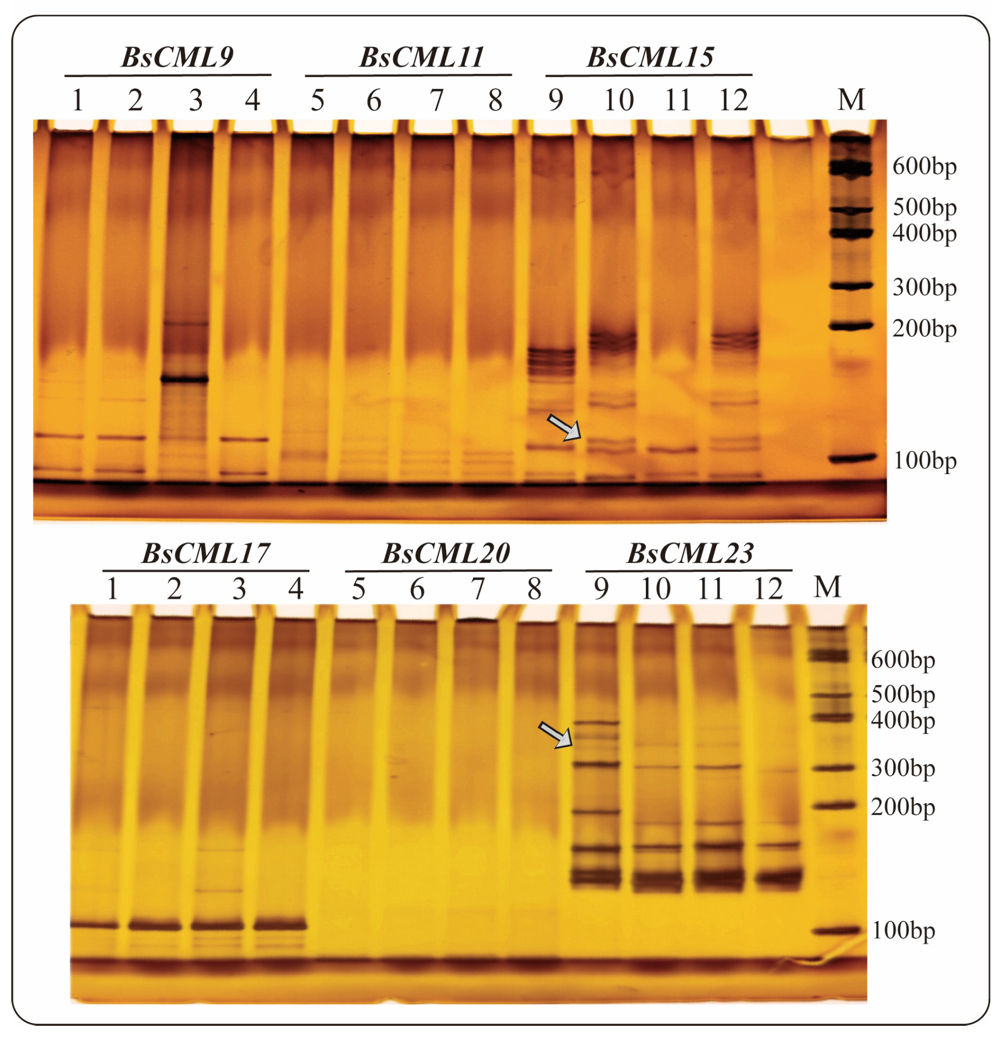 Plants 14 01052 g003 Plants 14 01052 g003