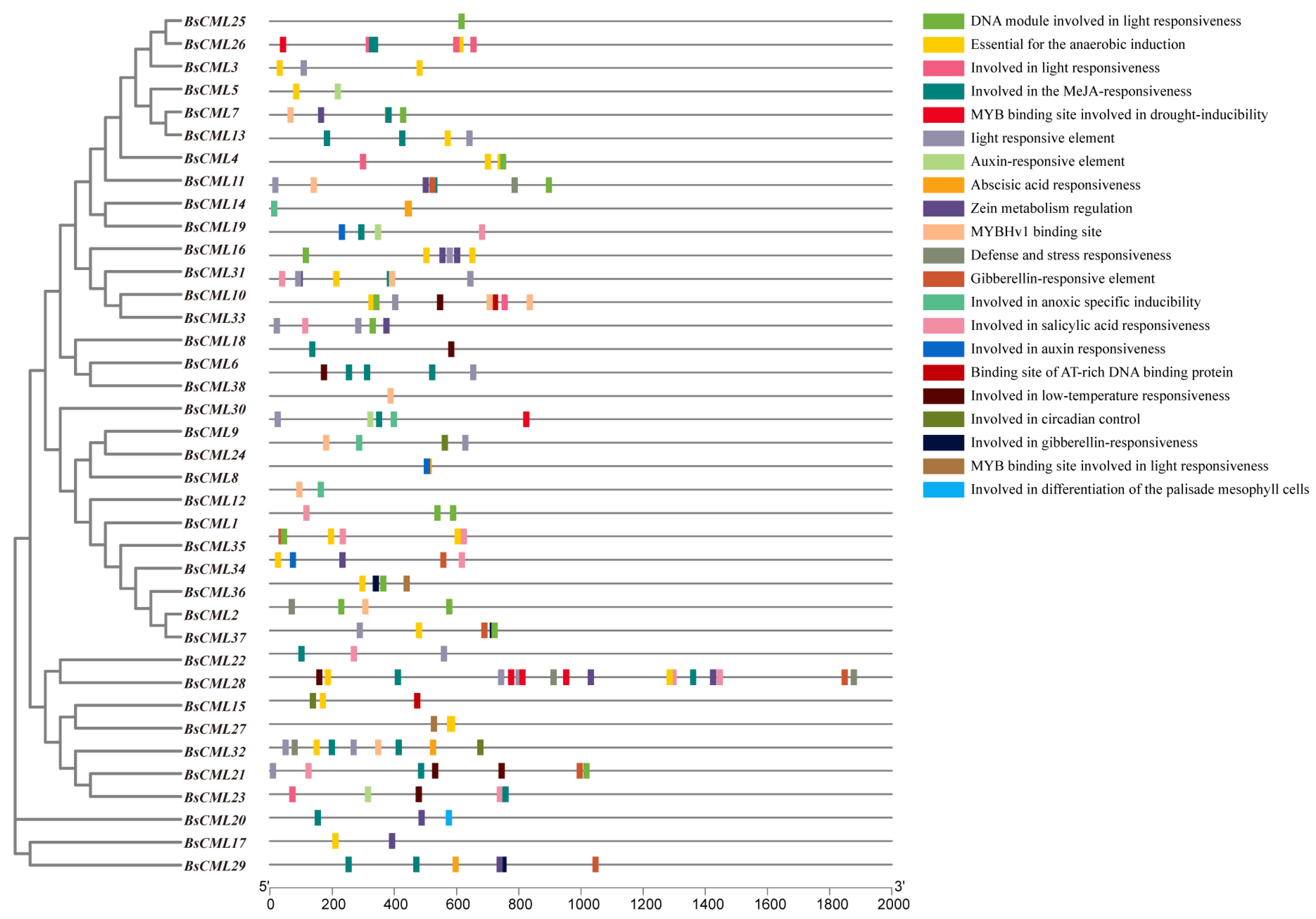 Plants 14 01052 g004 Plants 14 01052 g004