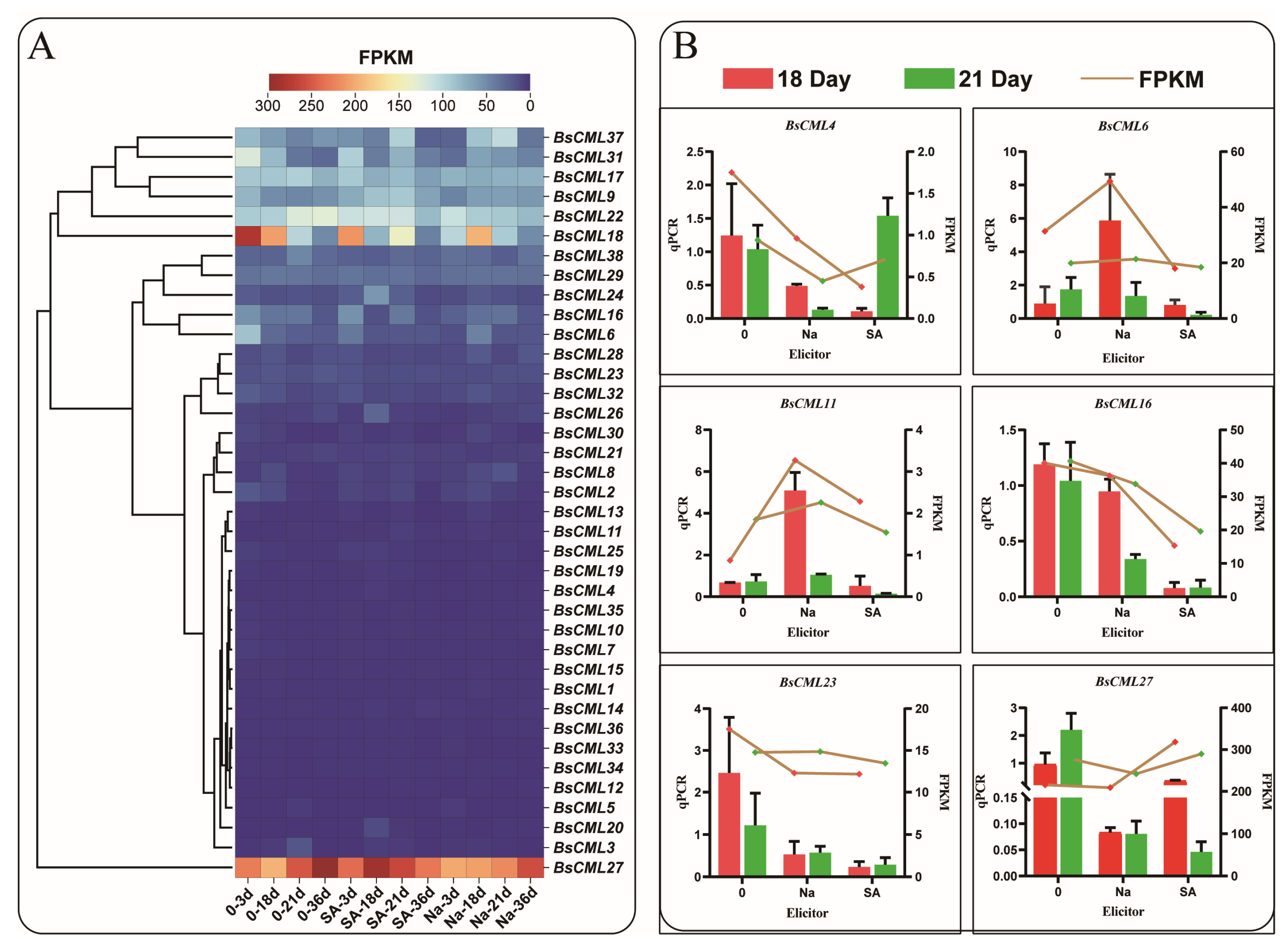 Plants 14 01052 g006 Plants 14 01052 g006