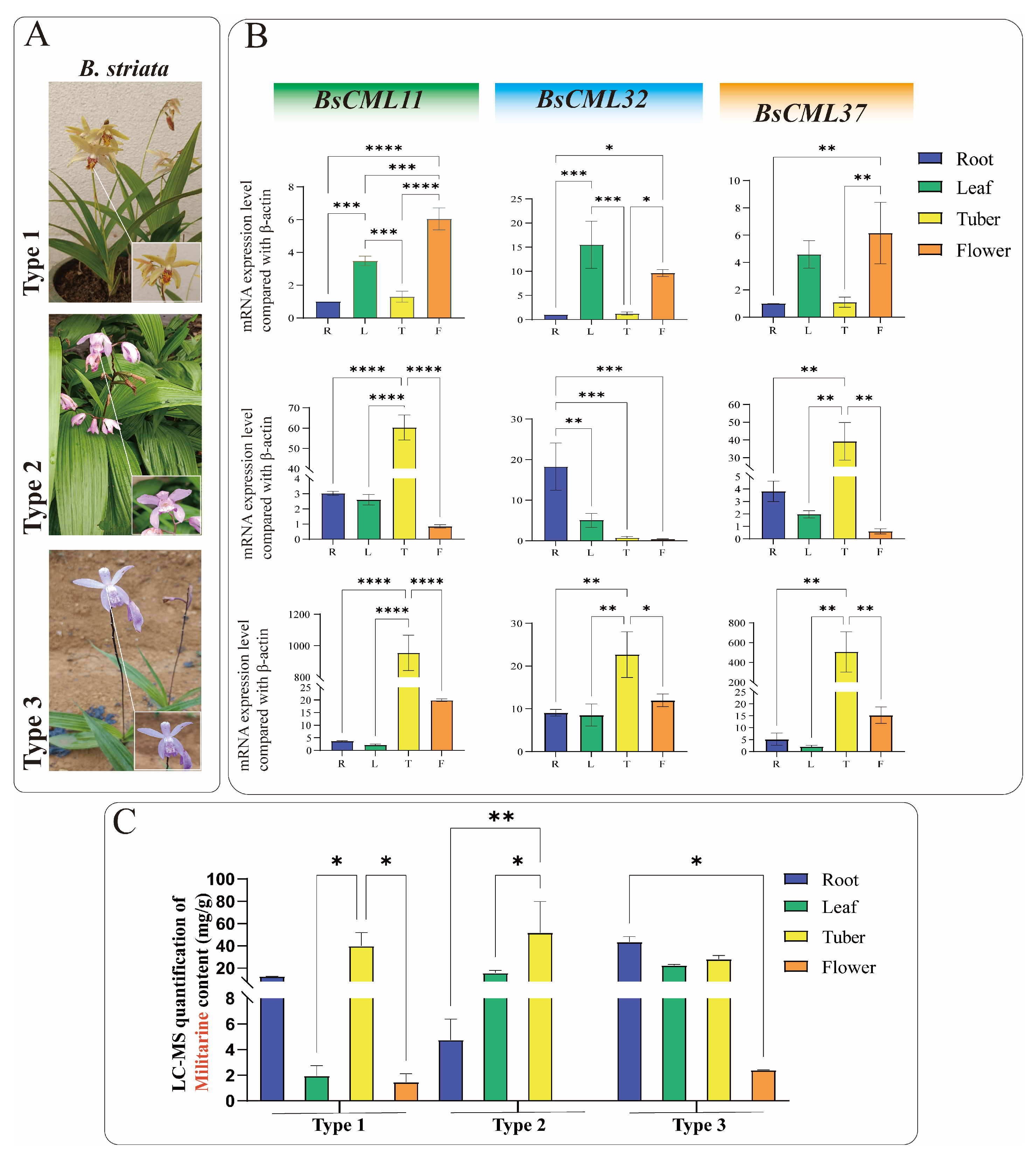 Plants 14 01052 g009 Plants 14 01052 g009