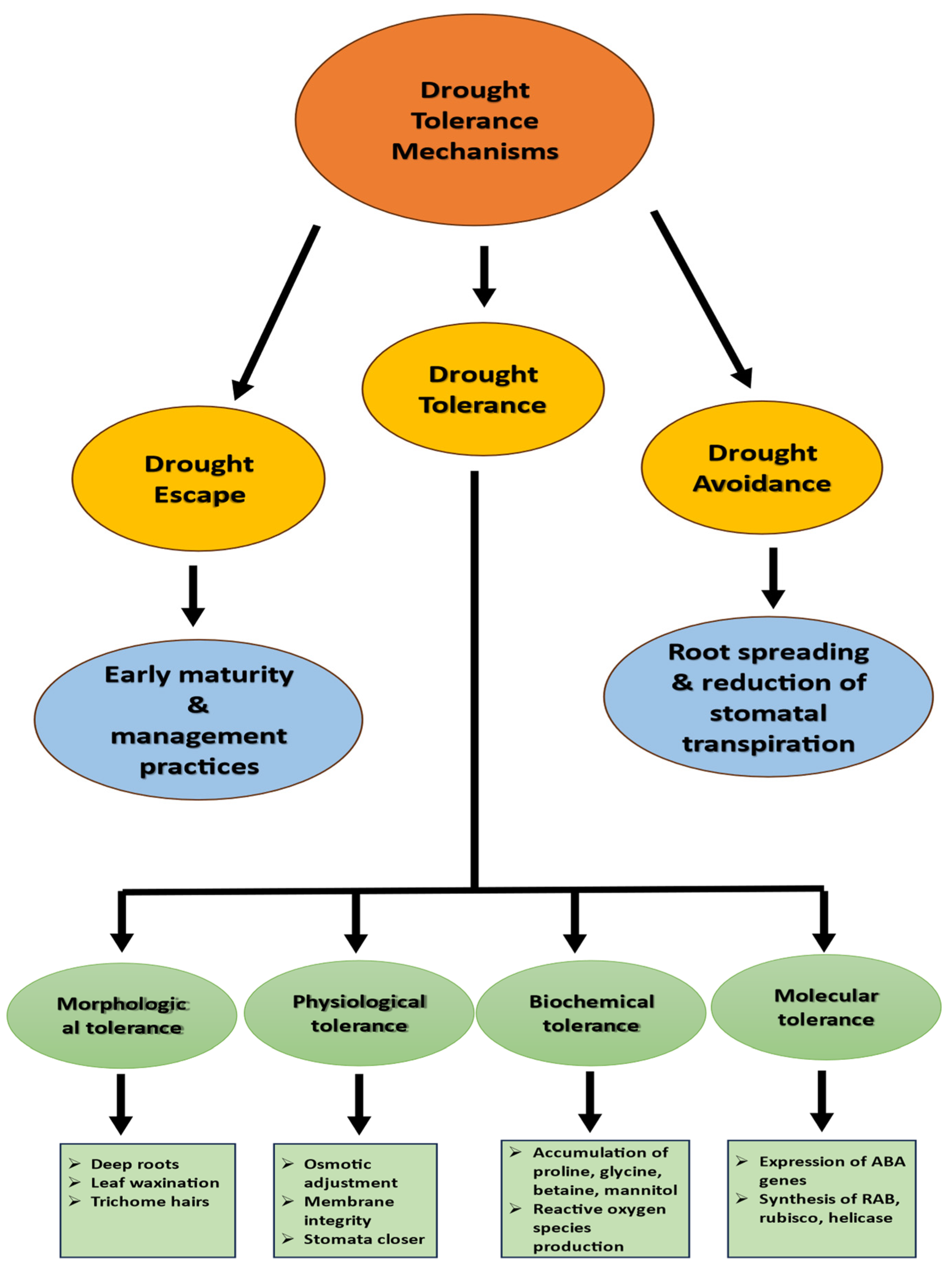 Plants 14 01053 g001 Plants 14 01053 g001