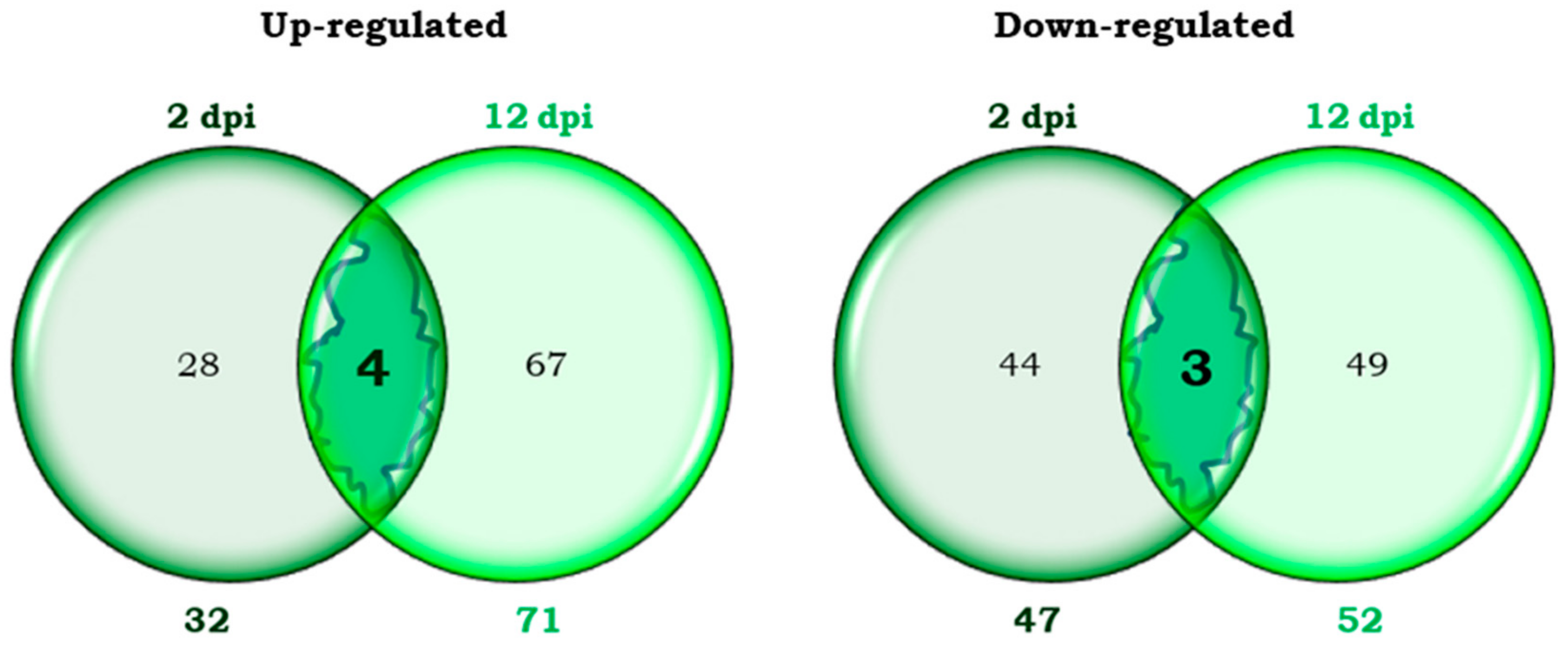 Plants 14 01054 g001