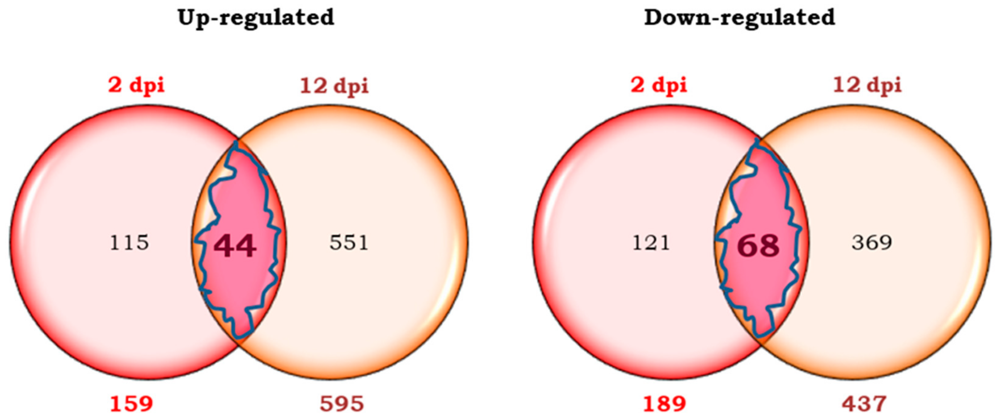 Plants 14 01054 g003
