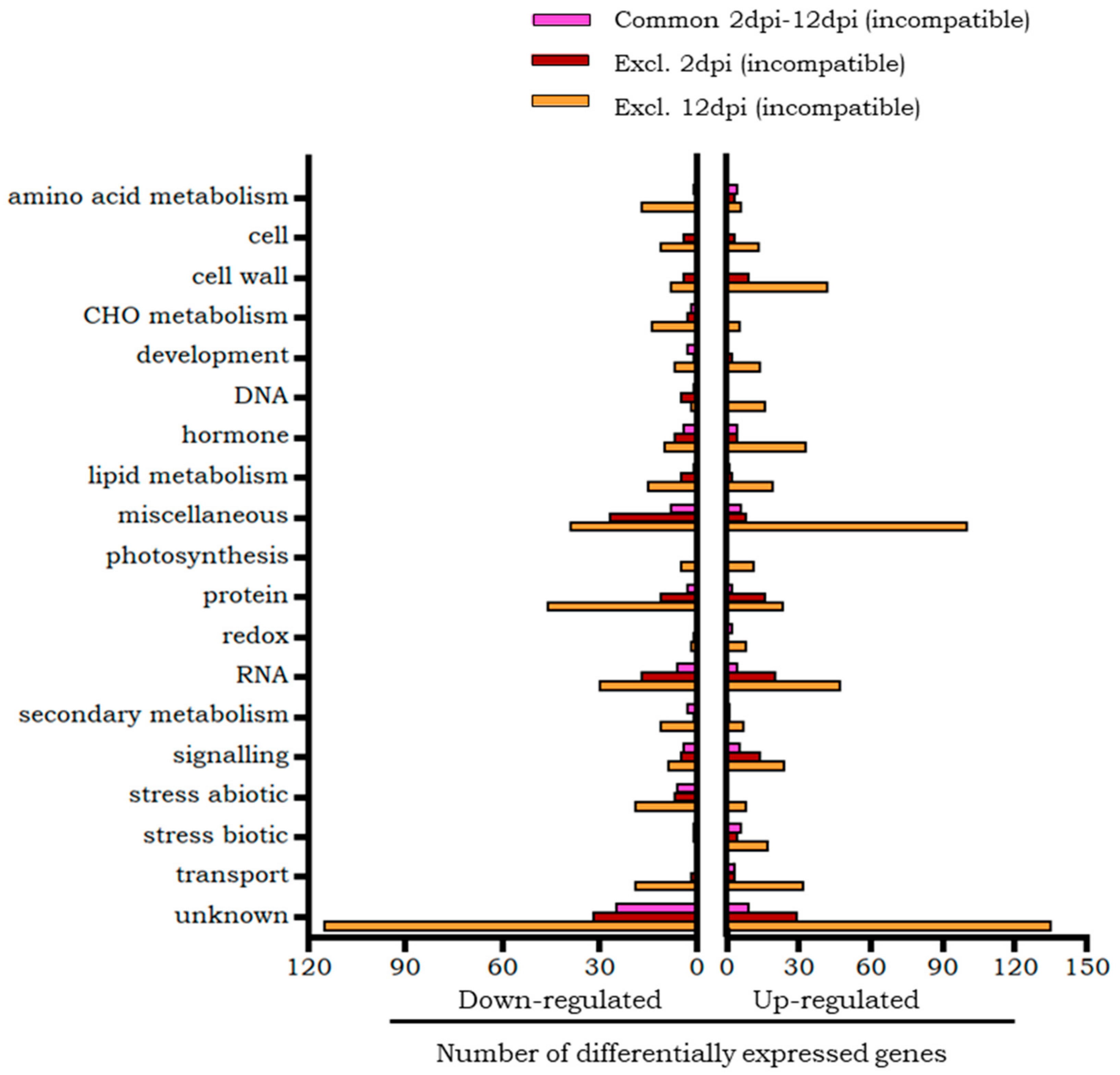 Plants 14 01054 g004
