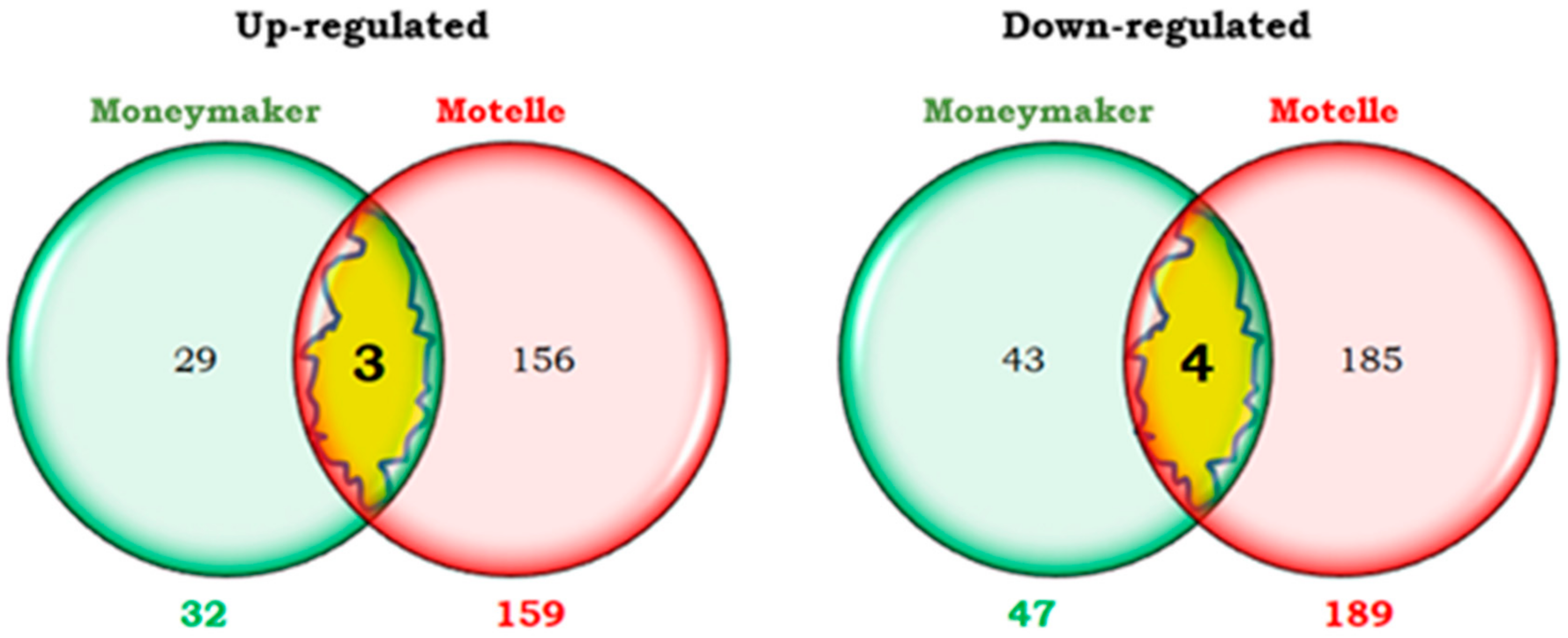 Plants 14 01054 g005
