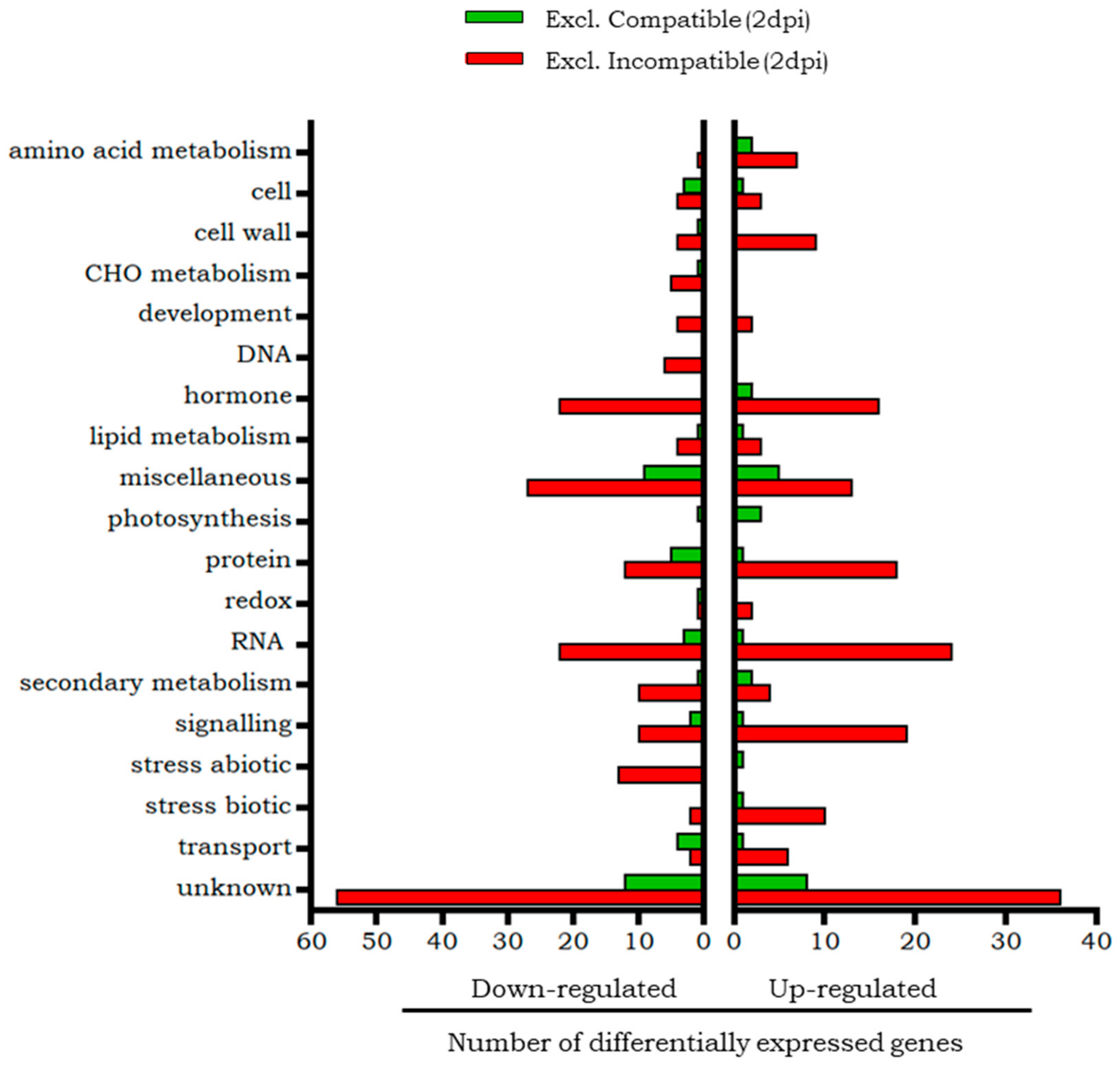 Plants 14 01054 g006