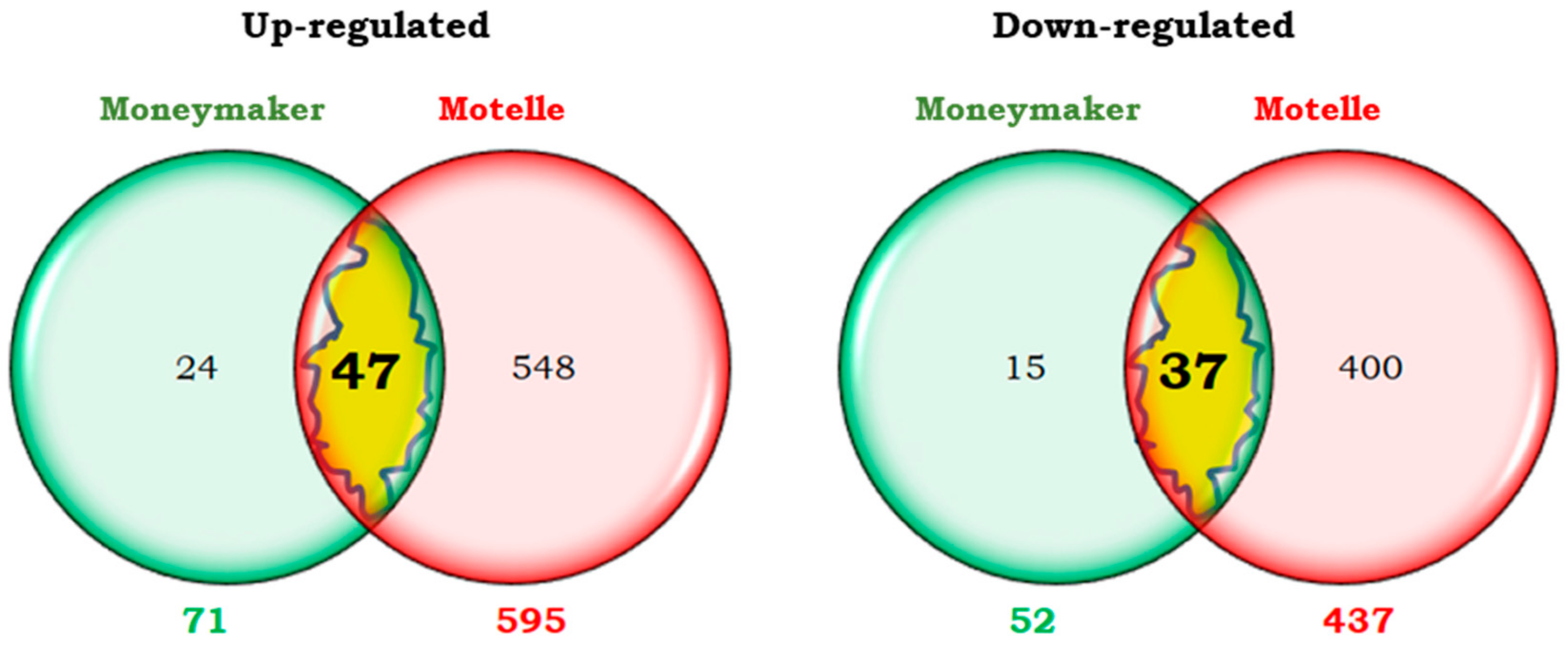 Plants 14 01054 g007