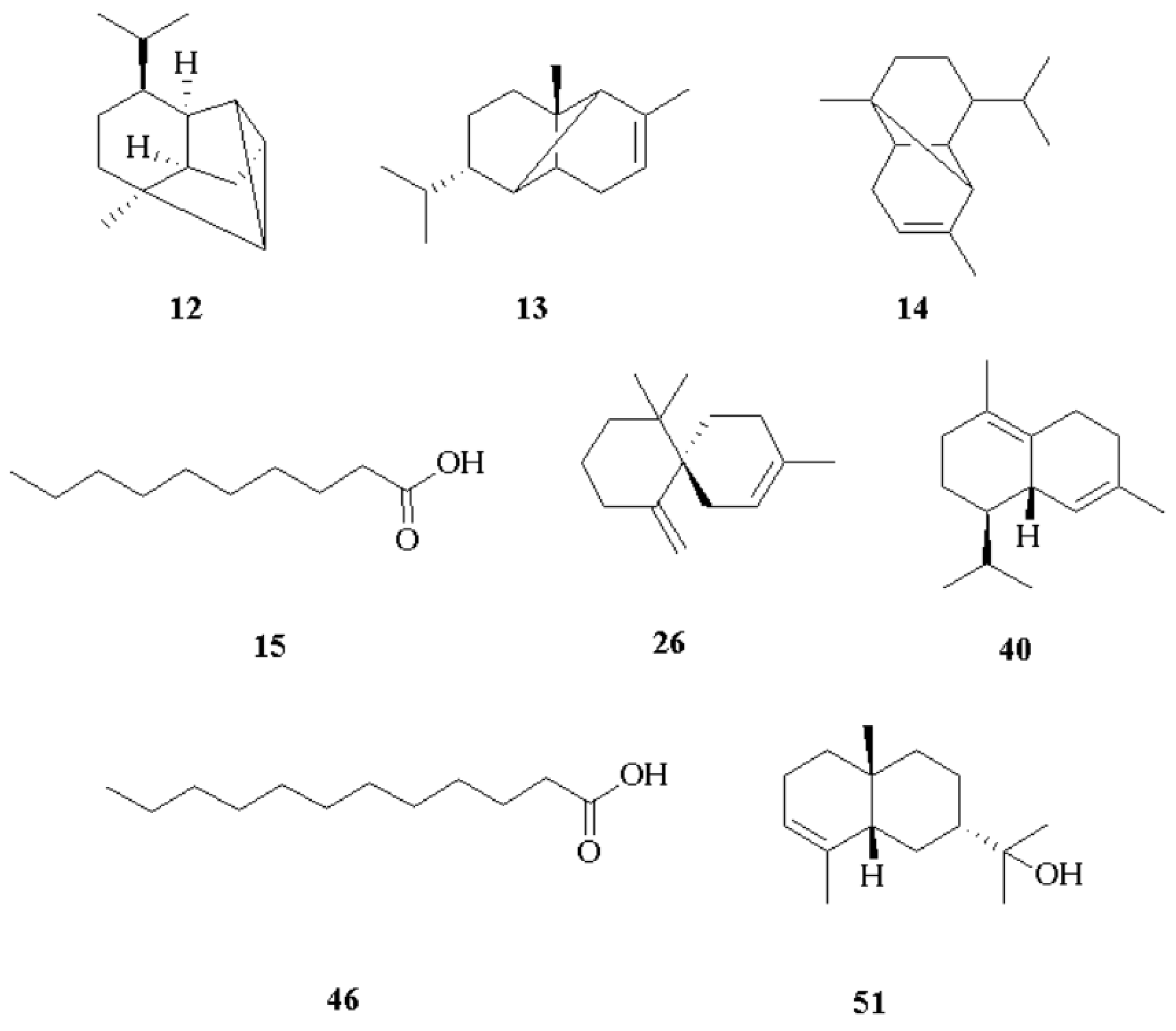 Plants 14 01062 g001