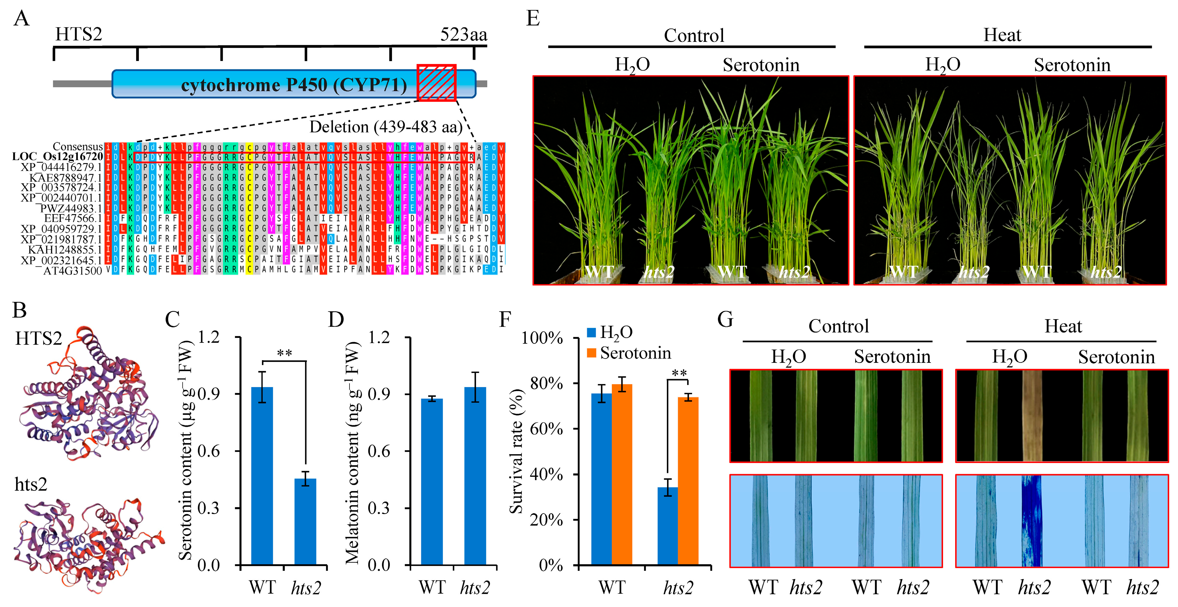 Plants 14 01072 g005