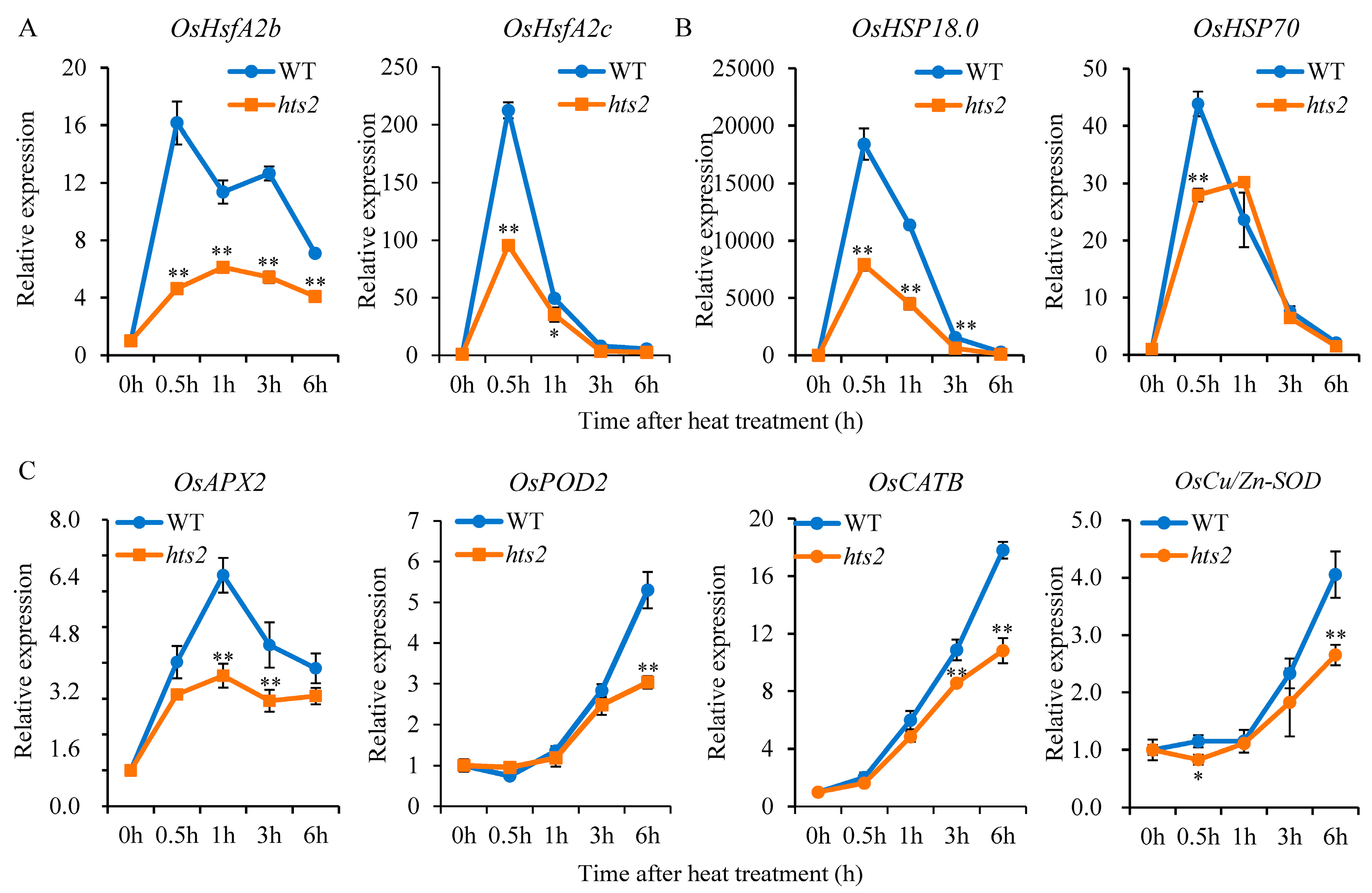 Plants 14 01072 g008