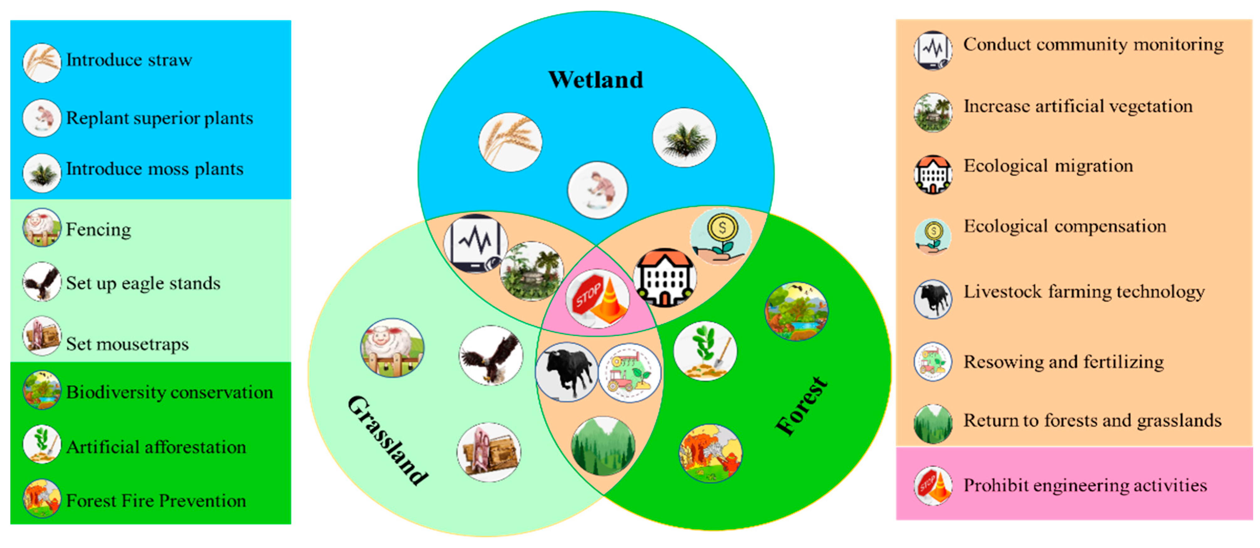 Plants 14 01085 g005