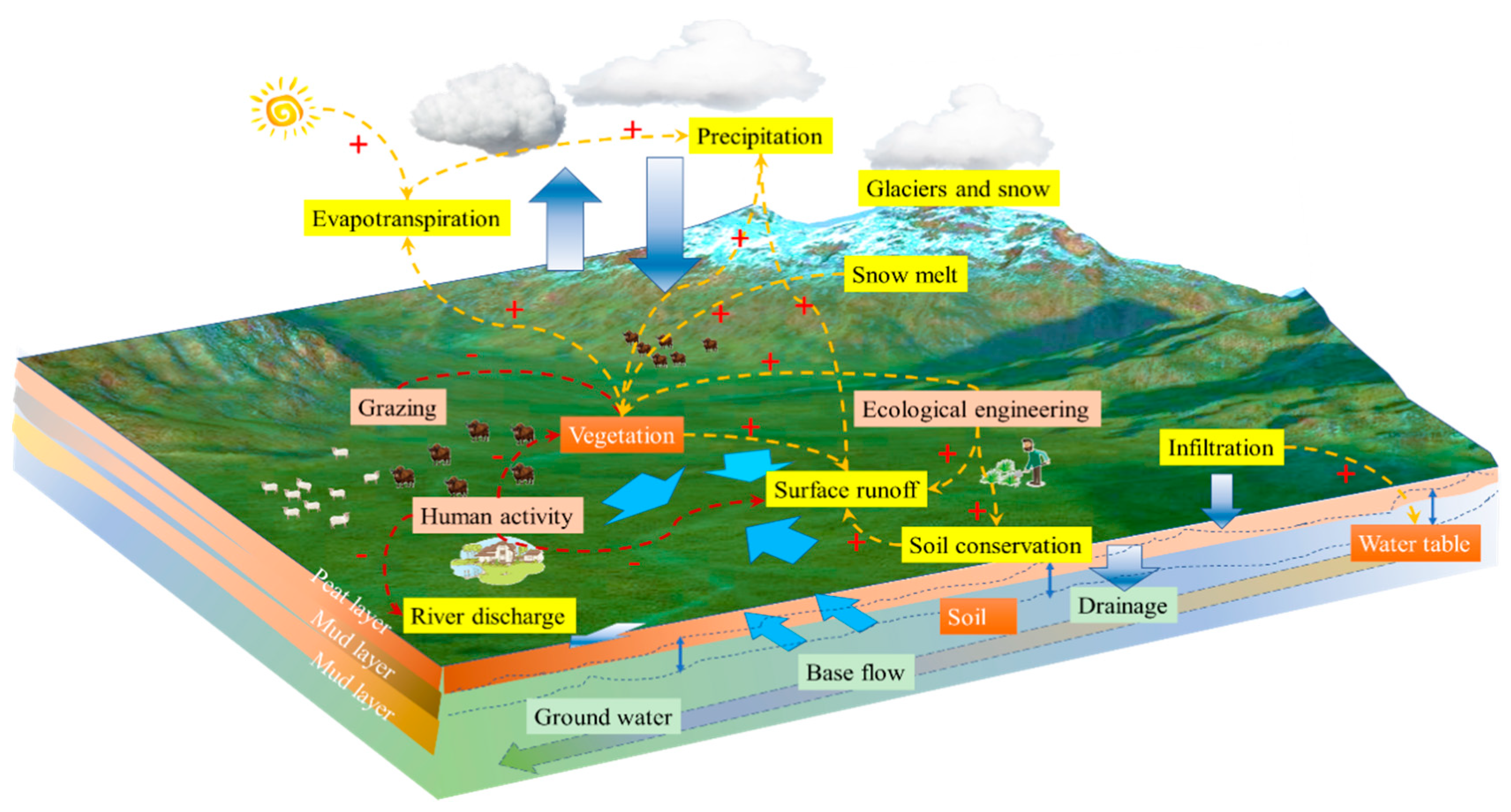 Plants 14 01085 g007