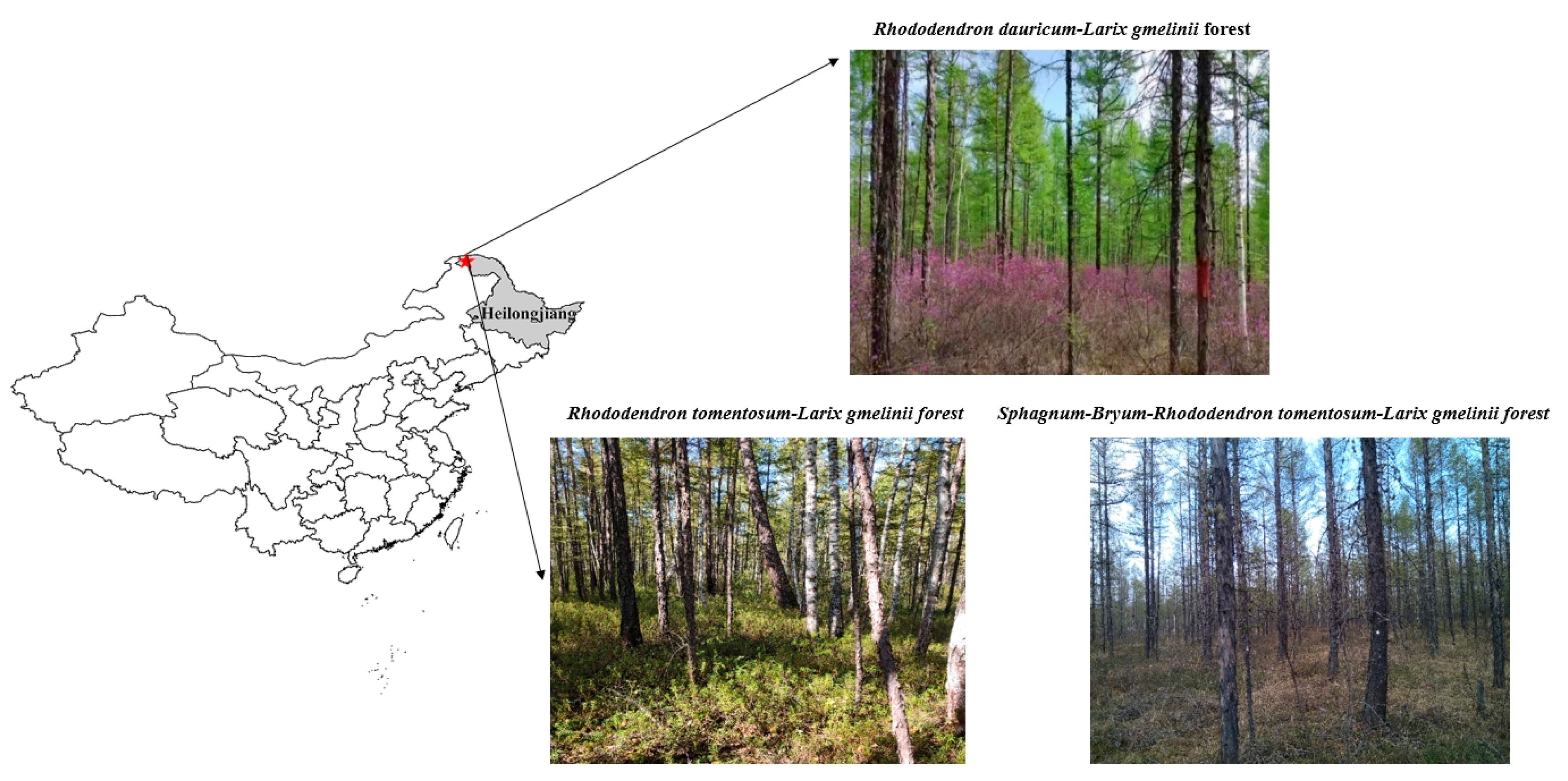 Plants 14 01088 g006