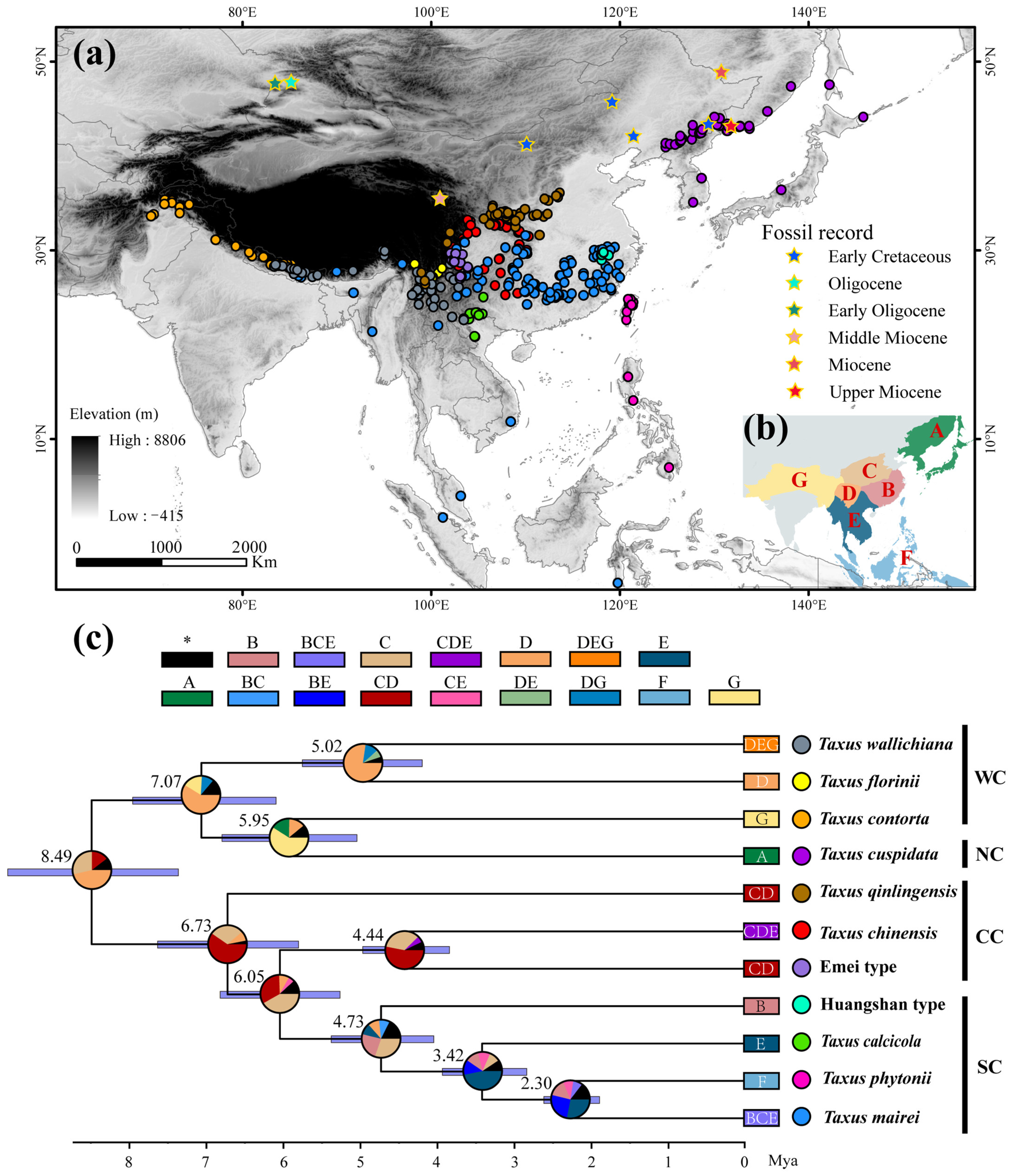 Plants 14 01094 g001 Plants 14 01094 g001
