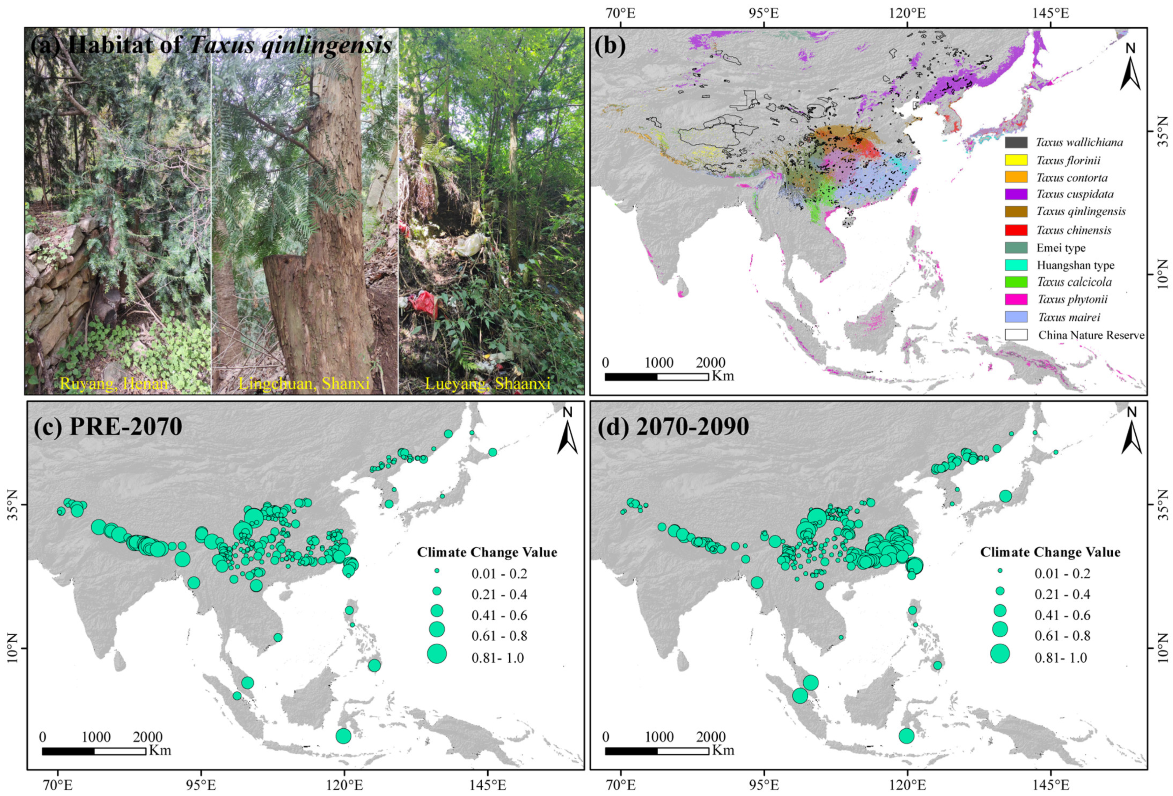 Plants 14 01094 g006 Plants 14 01094 g006