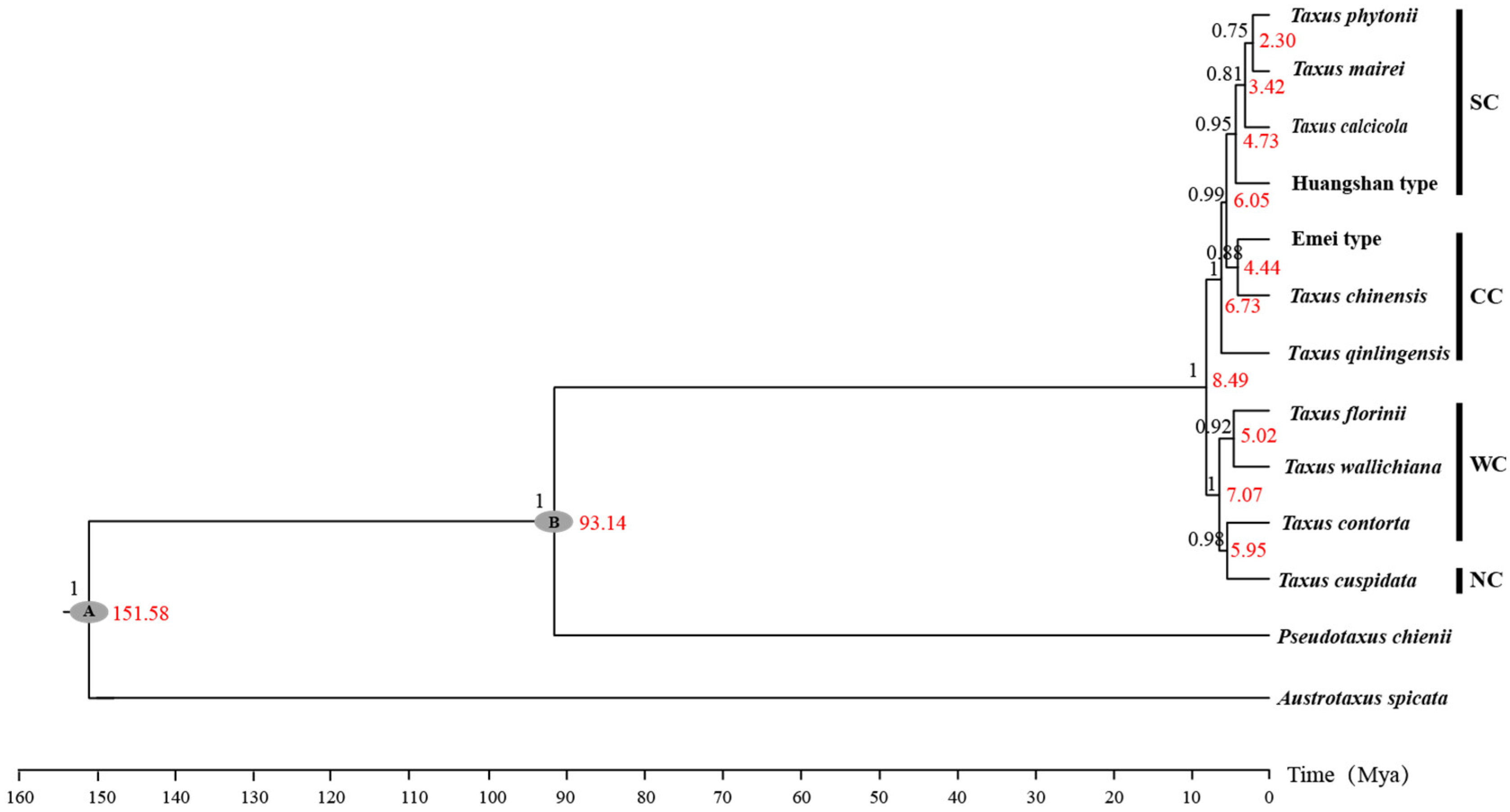 Plants 14 01094 g0a1 Plants 14 01094 g0a1
