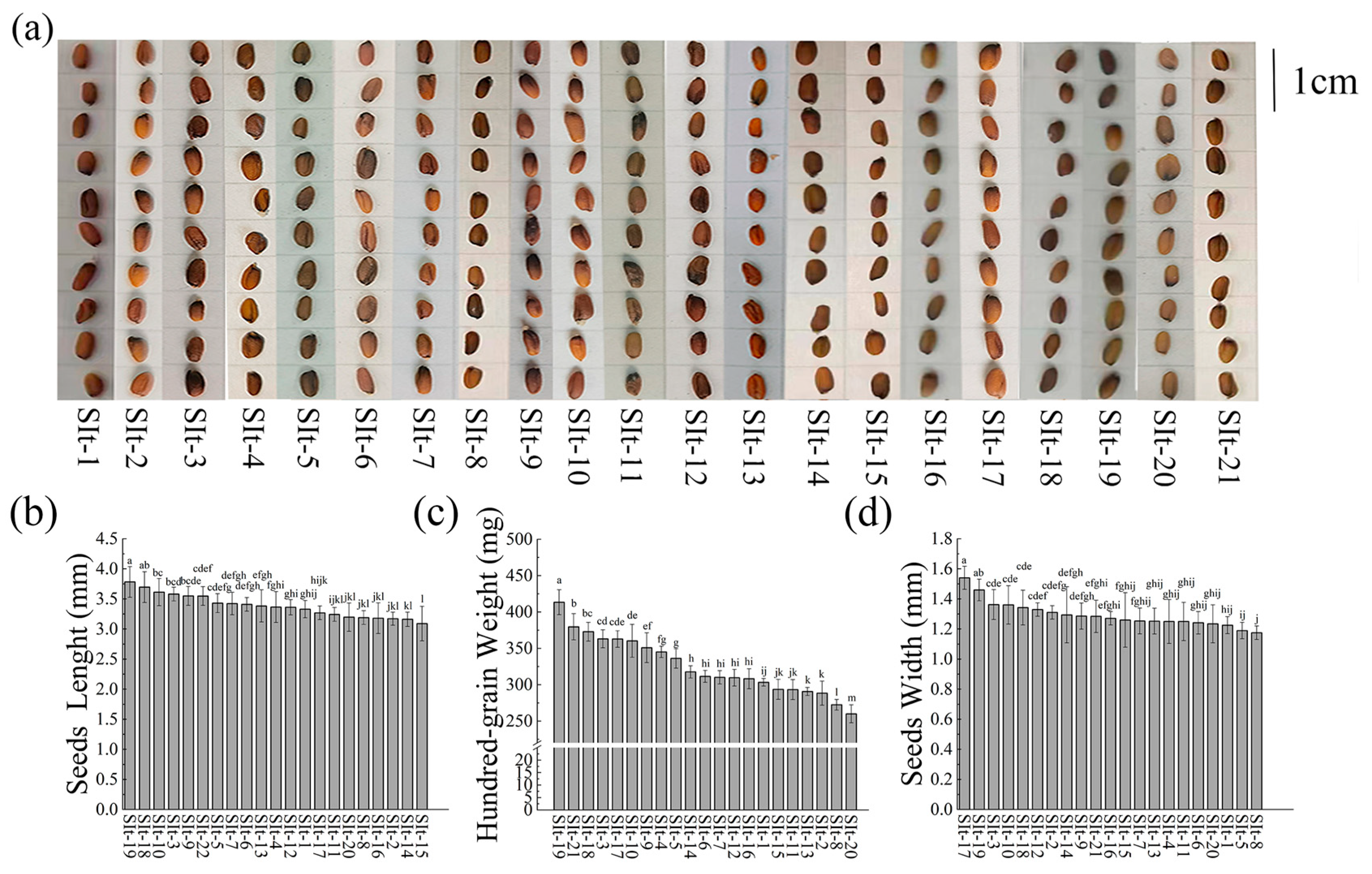 Plants 14 01096 g001