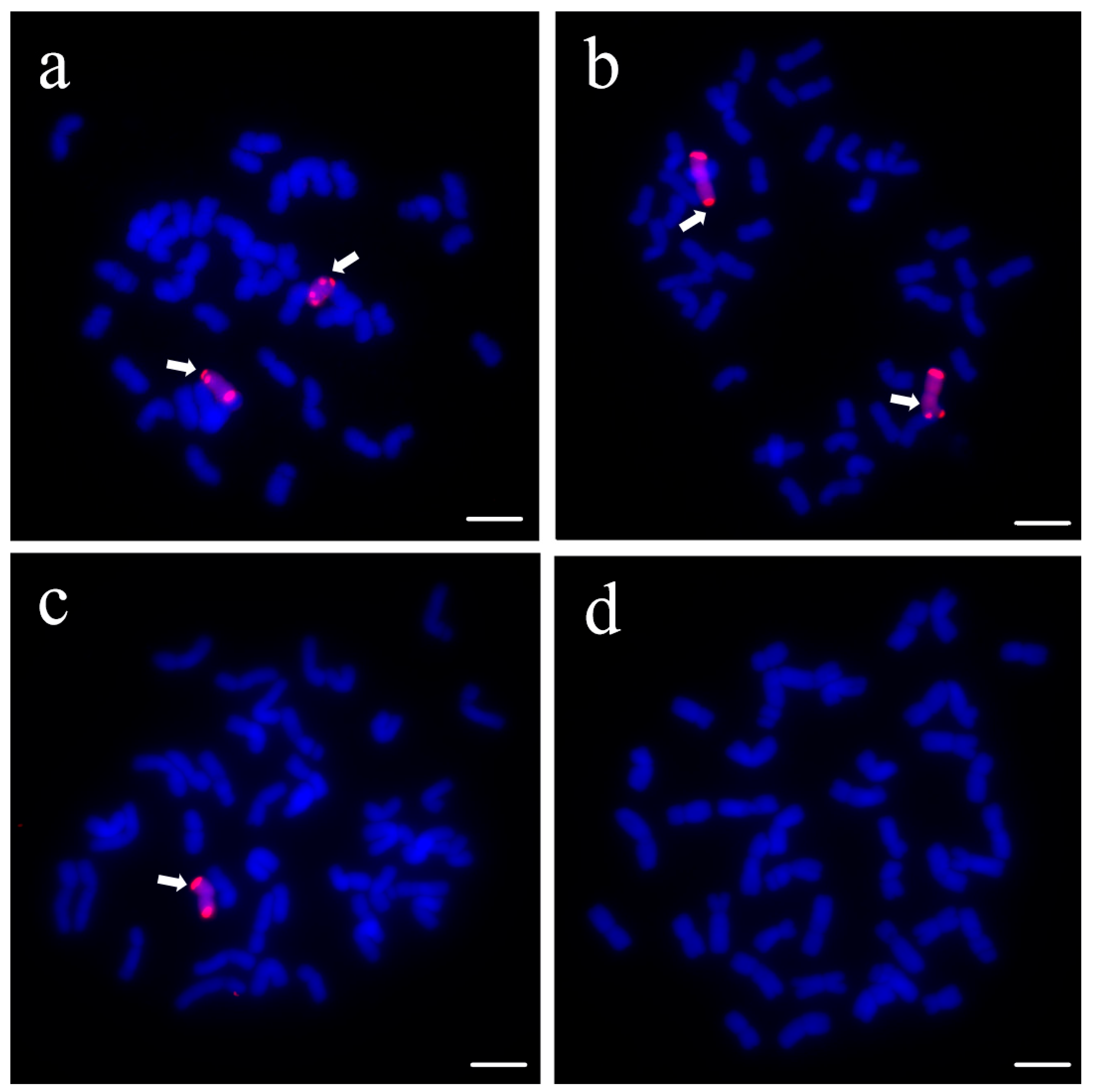Plants 14 01104 g002