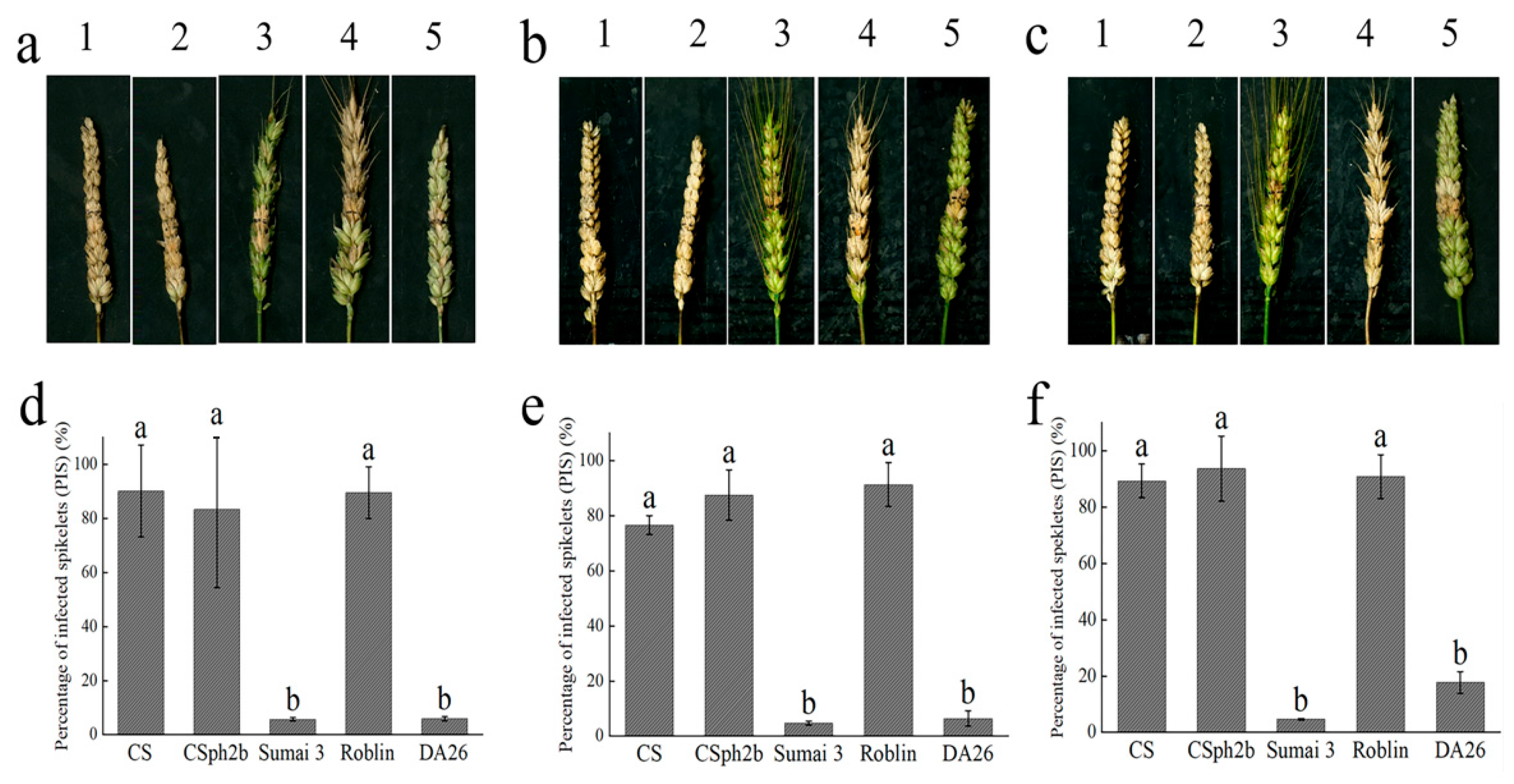 Plants 14 01104 g003
