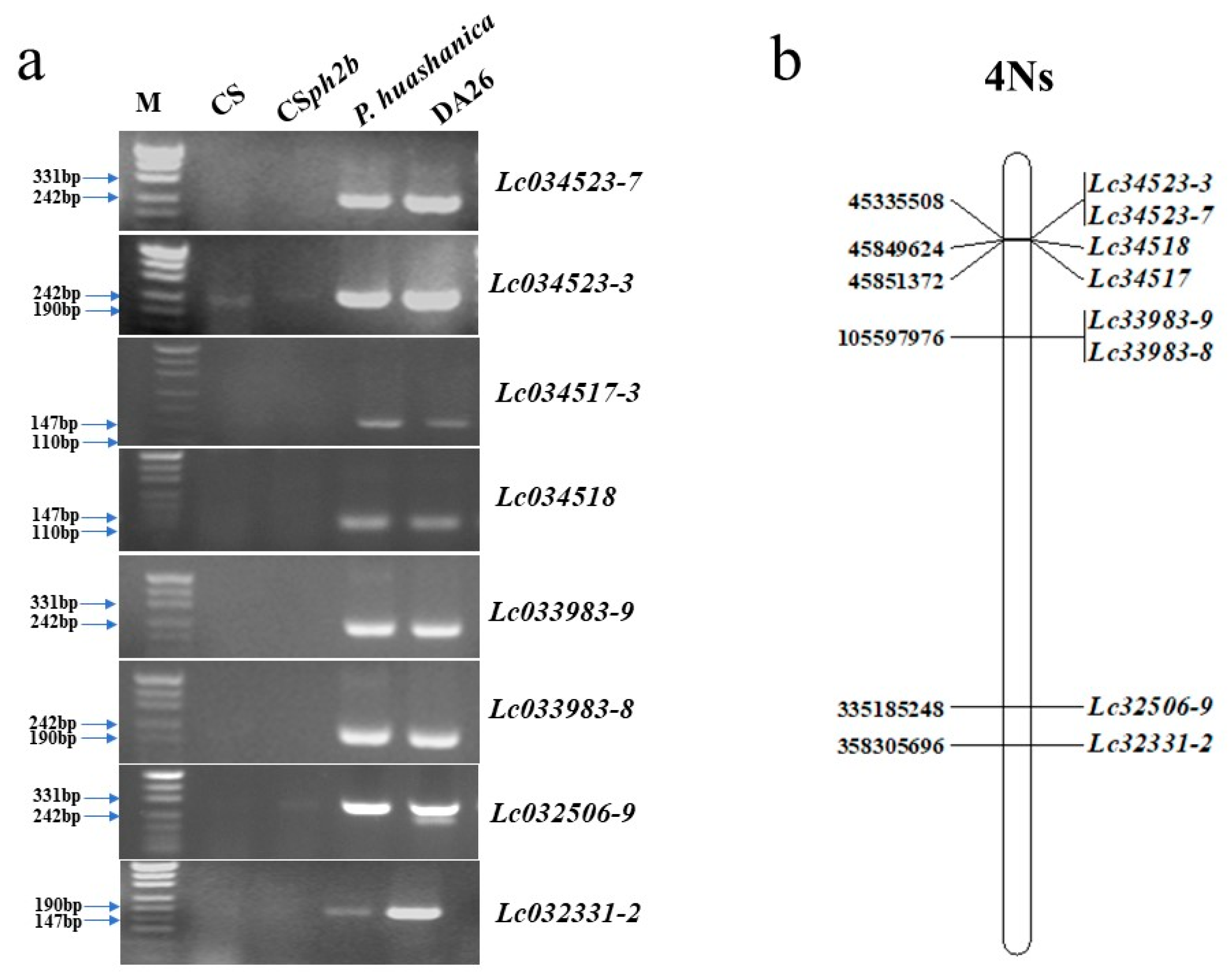 Plants 14 01104 g005