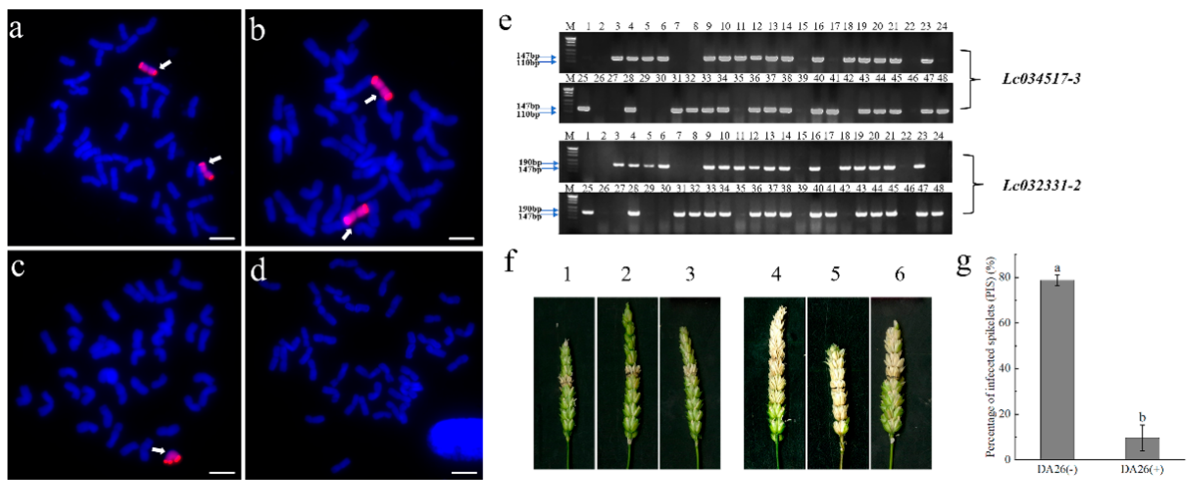 Plants 14 01104 g006