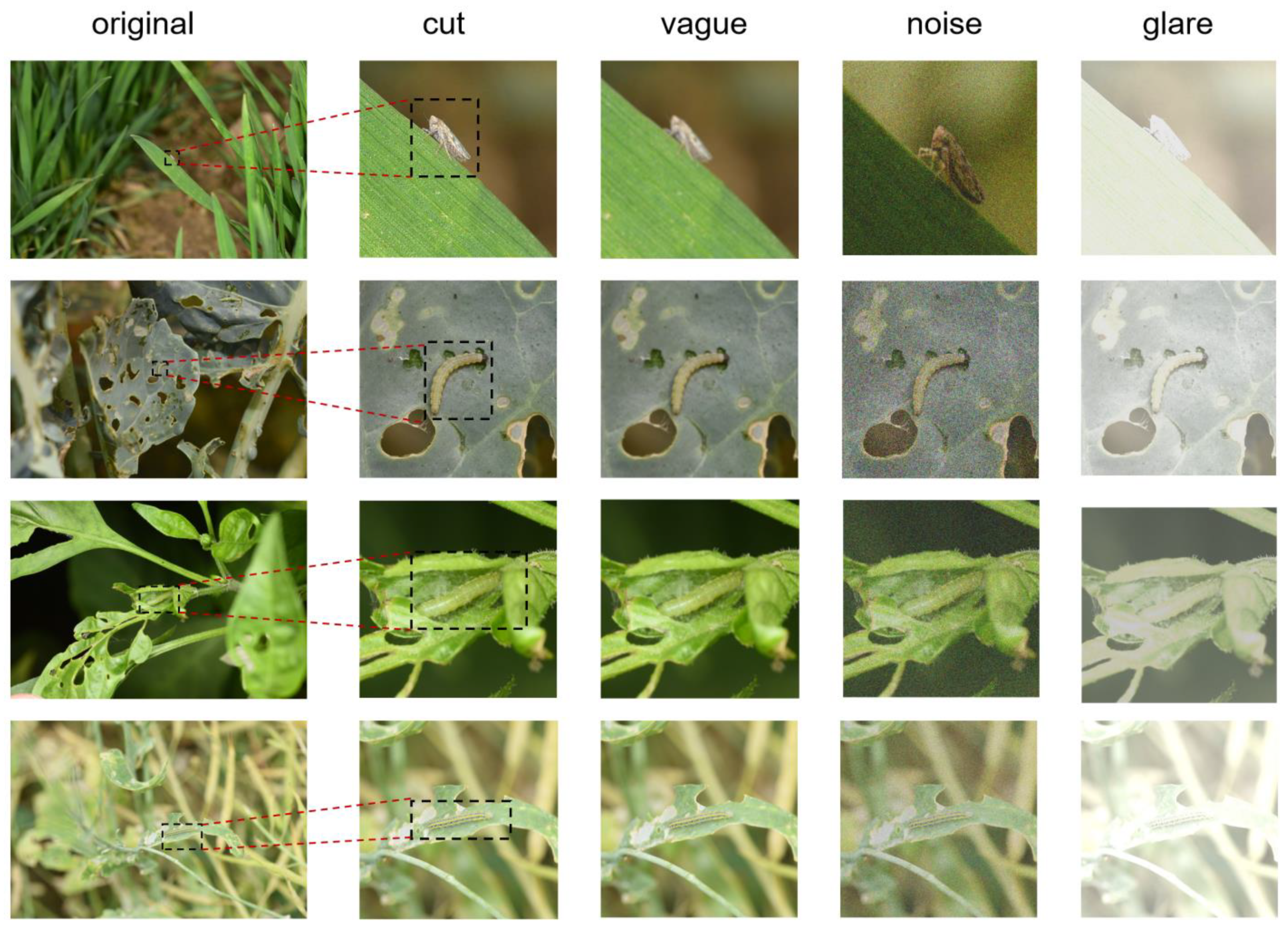 Plants 14 01106 g004