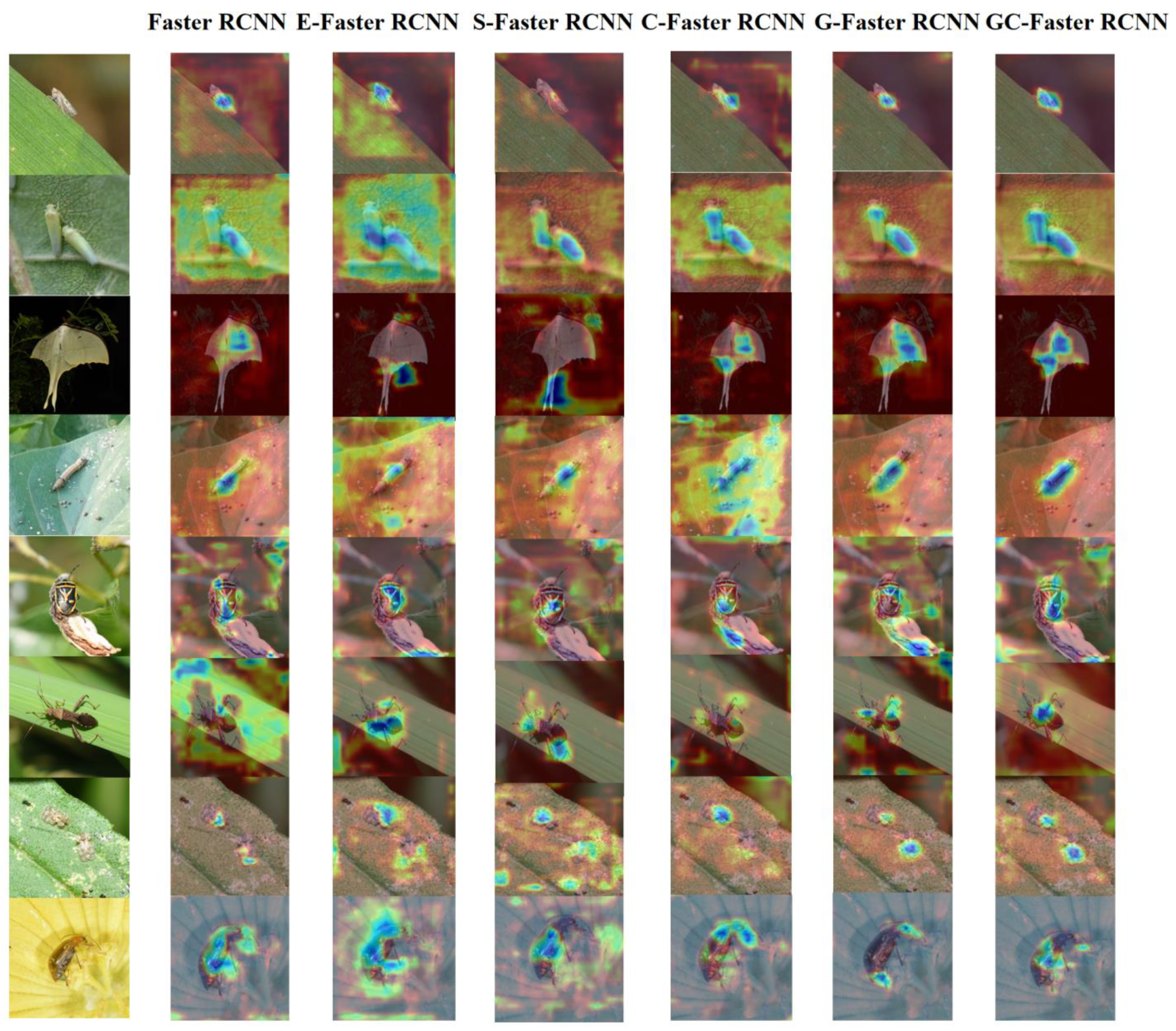 Plants 14 01106 g010