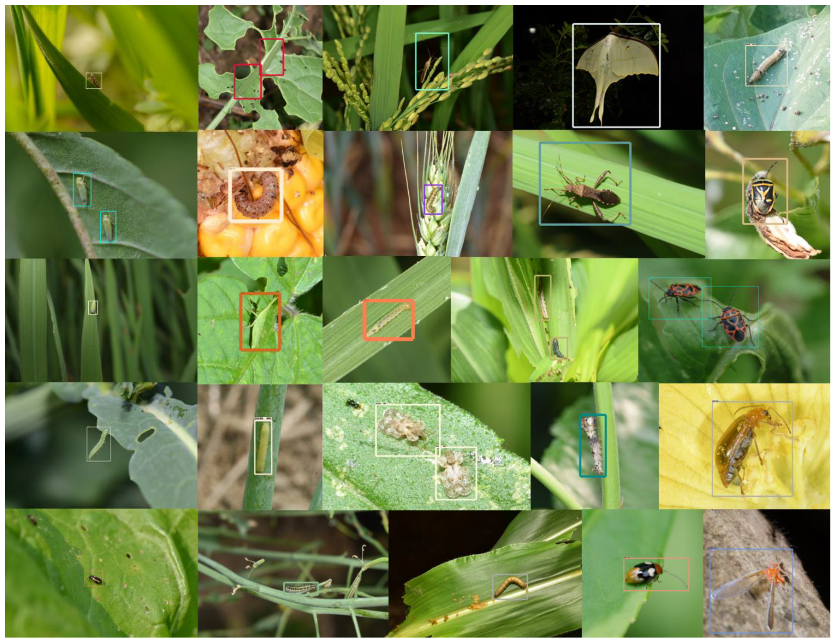 Plants 14 01106 g011