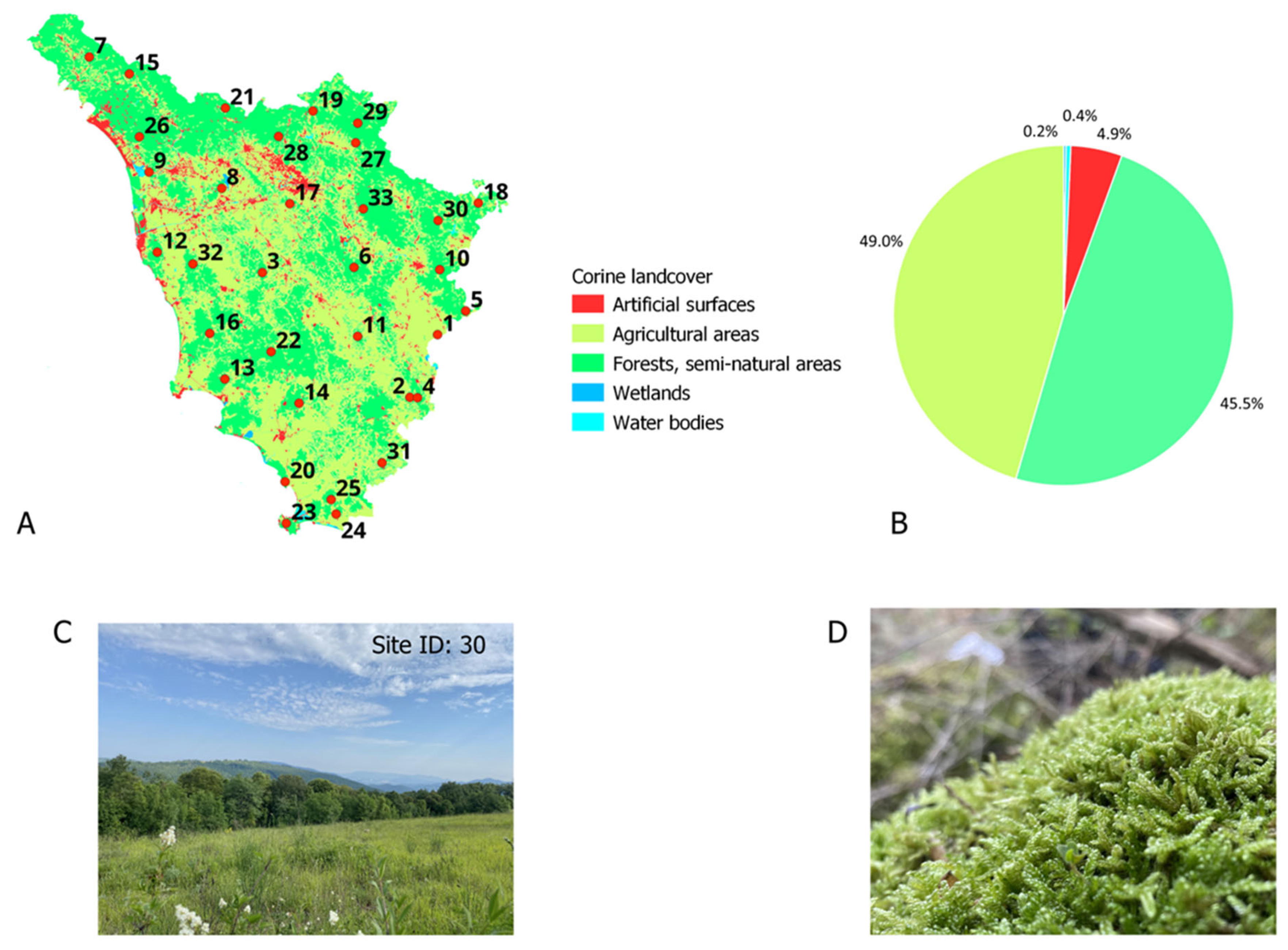 Plants 14 01114 g004