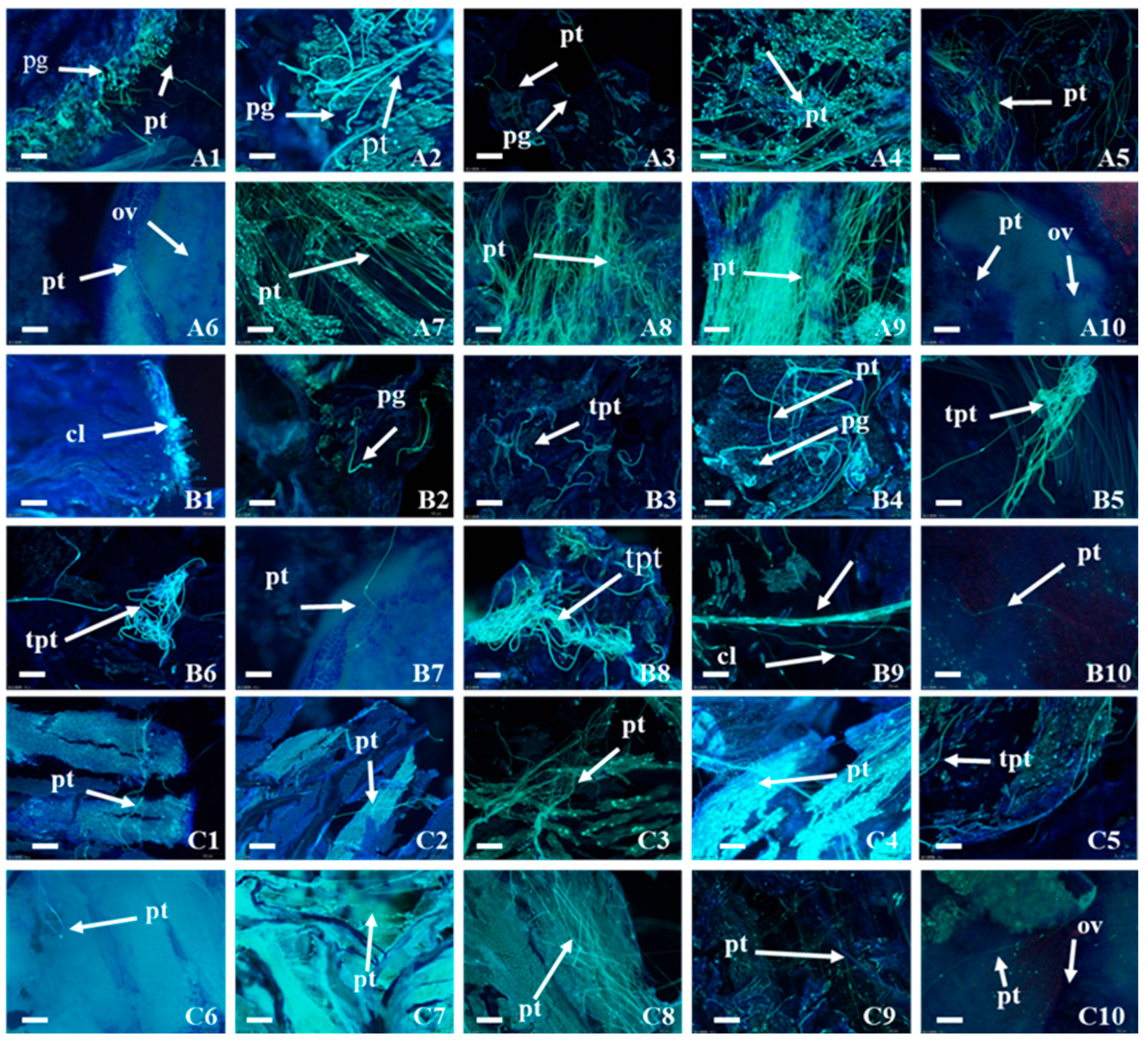Plants 14 01120 g003