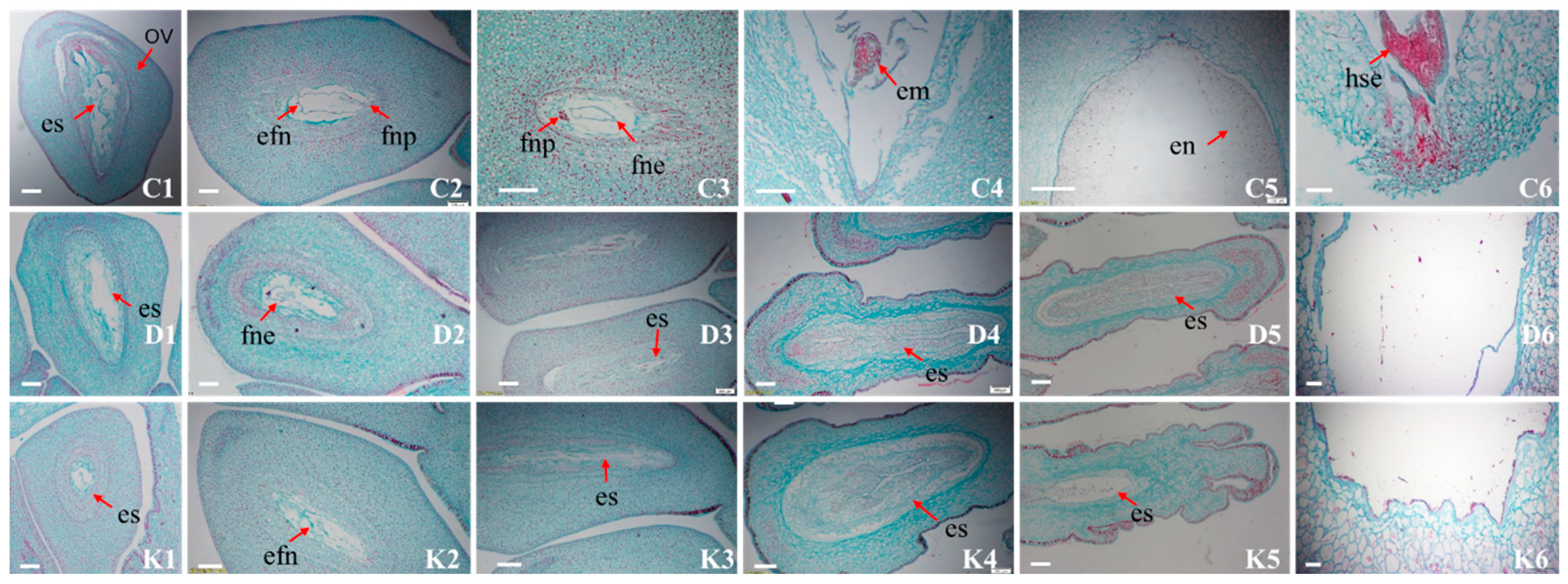 Plants 14 01120 g008