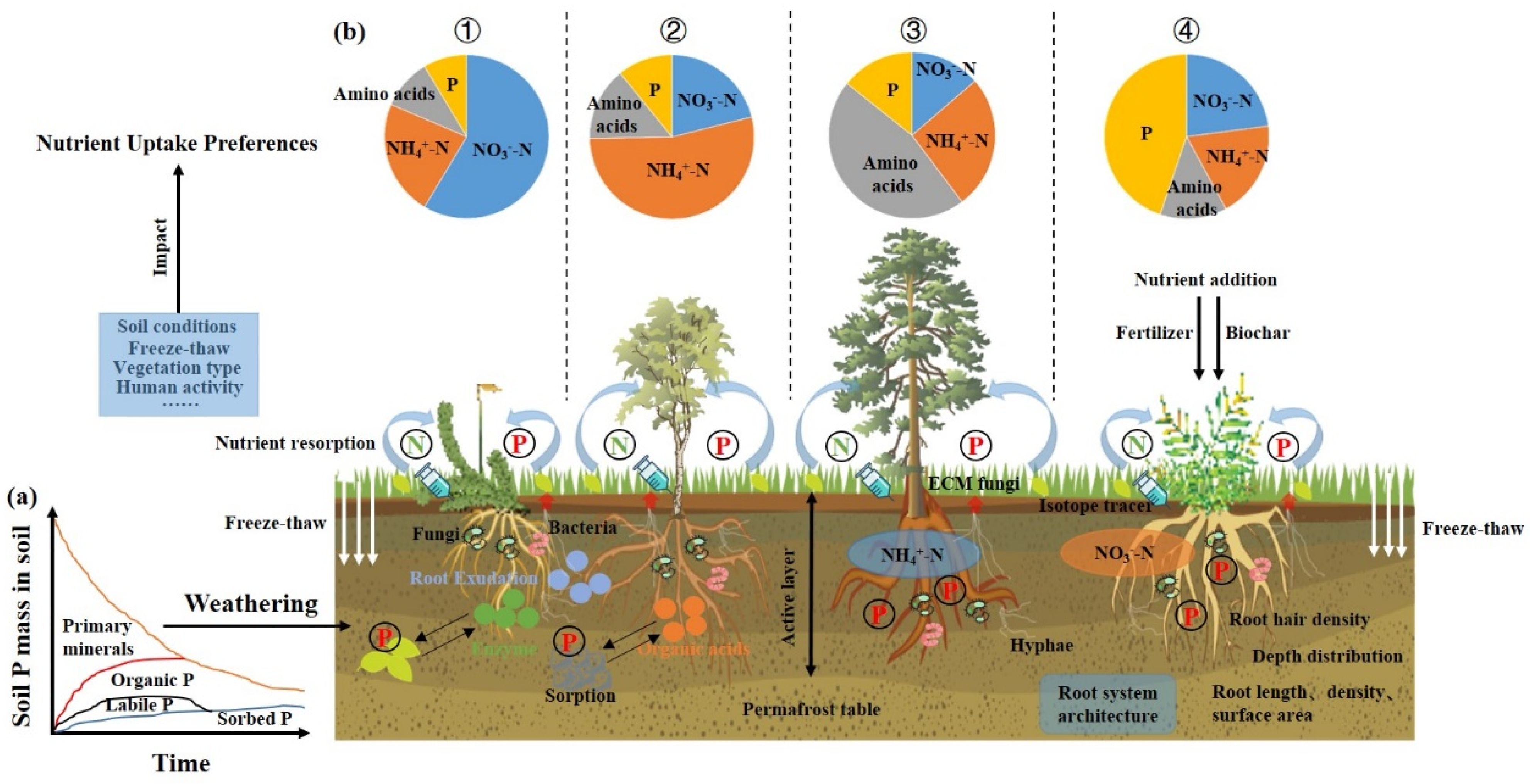Plants 14 01122 g002