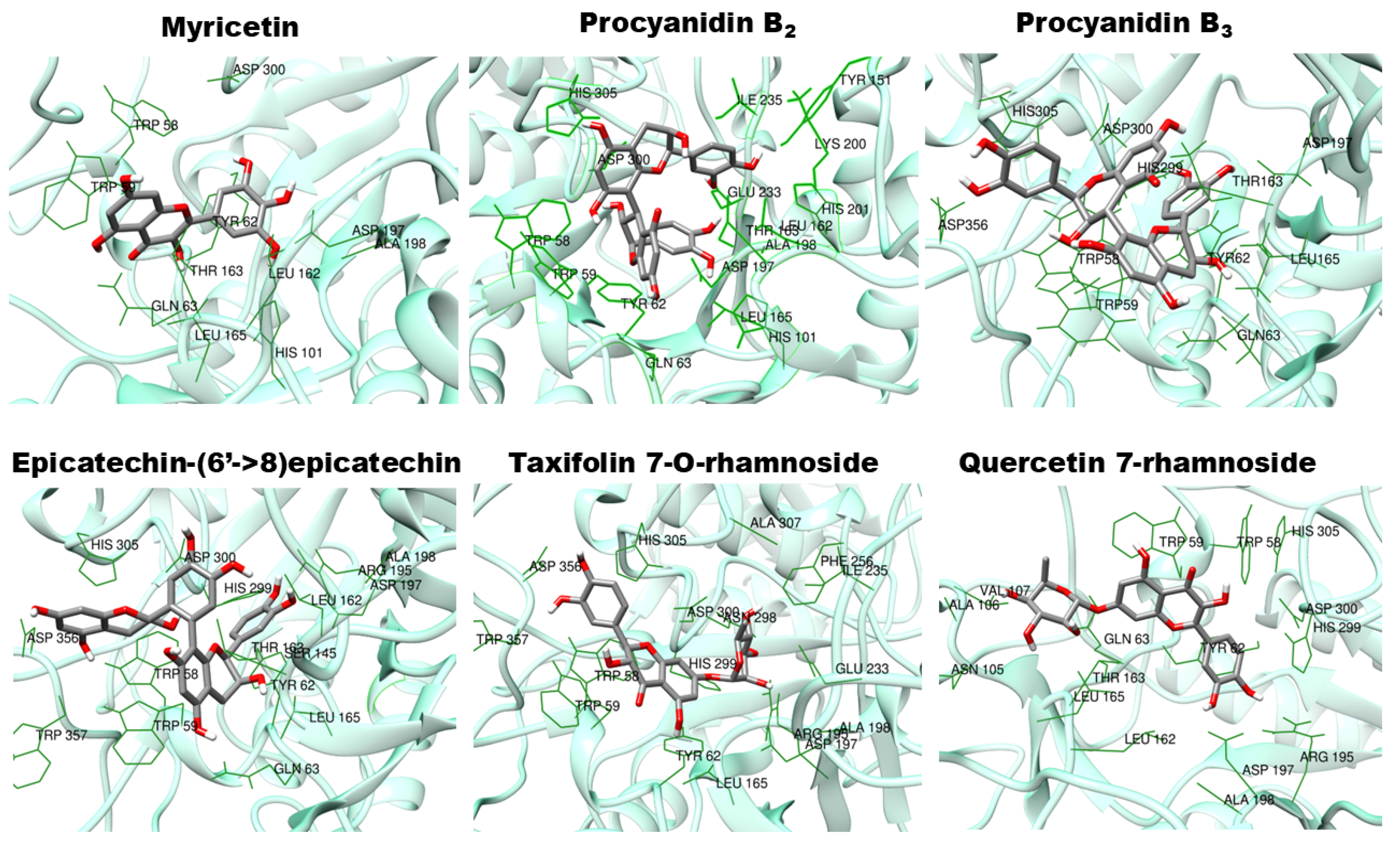Plants 14 01133 g007