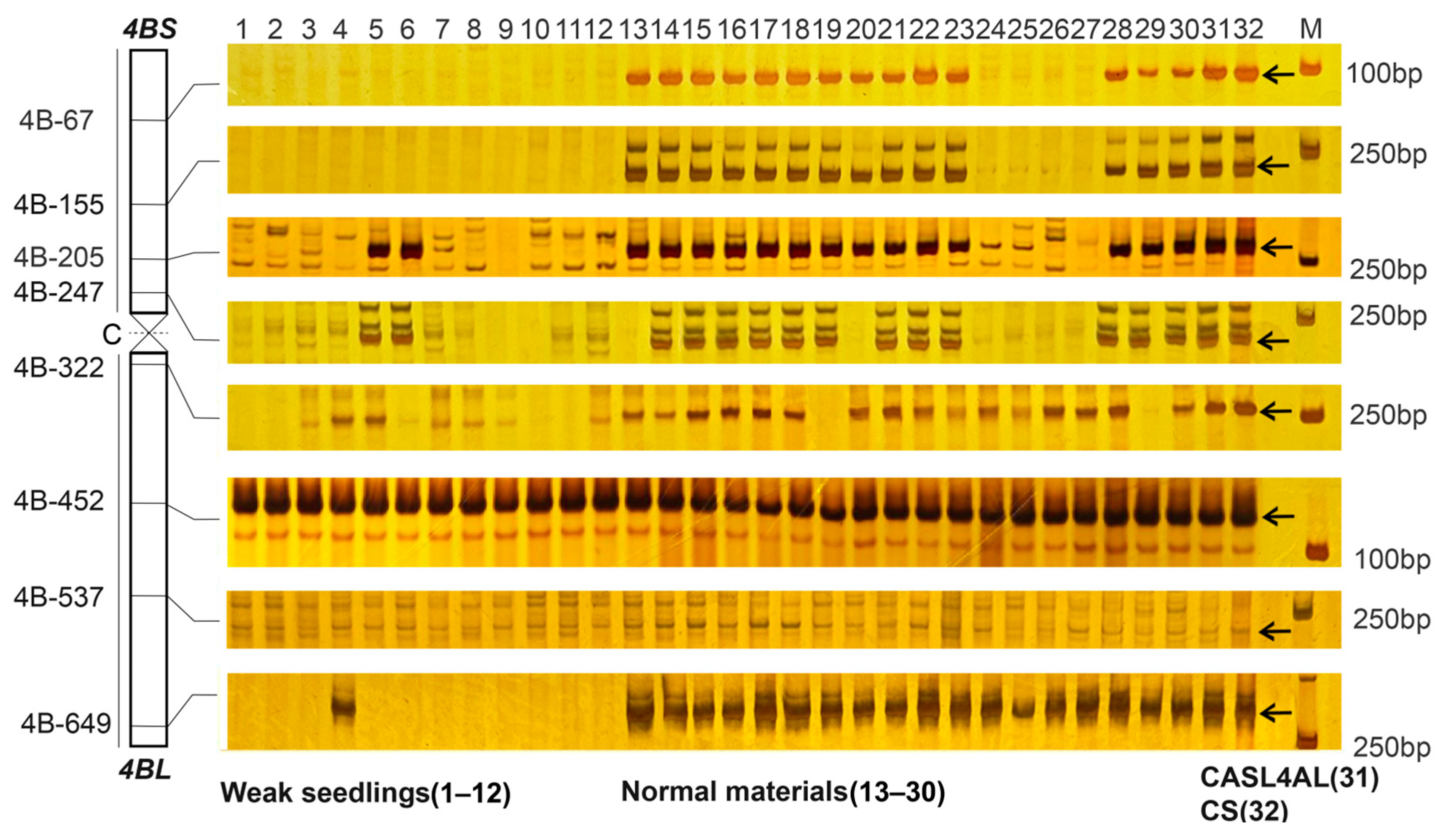Plants 14 01134 g009