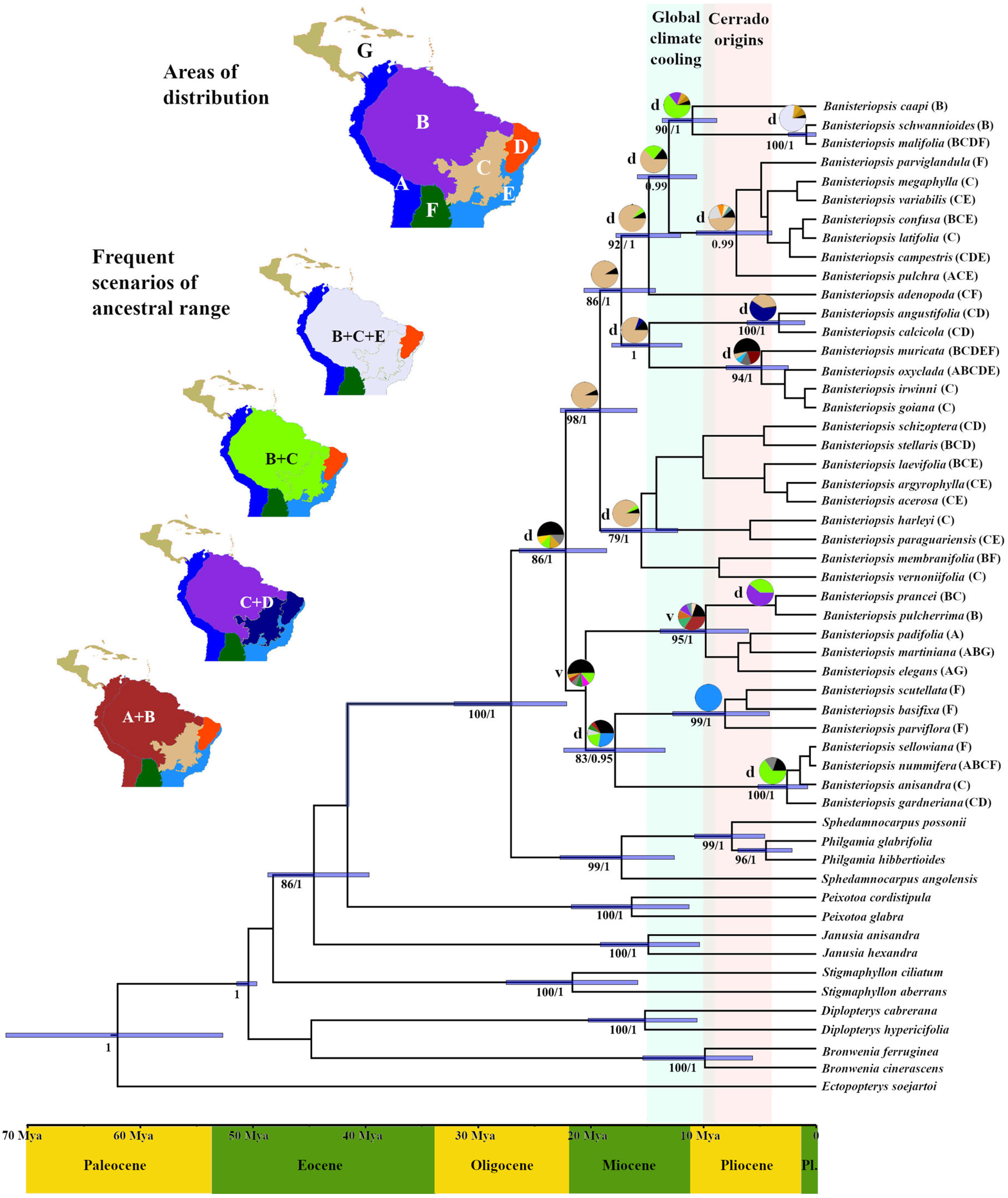 Plants 14 01149 g002