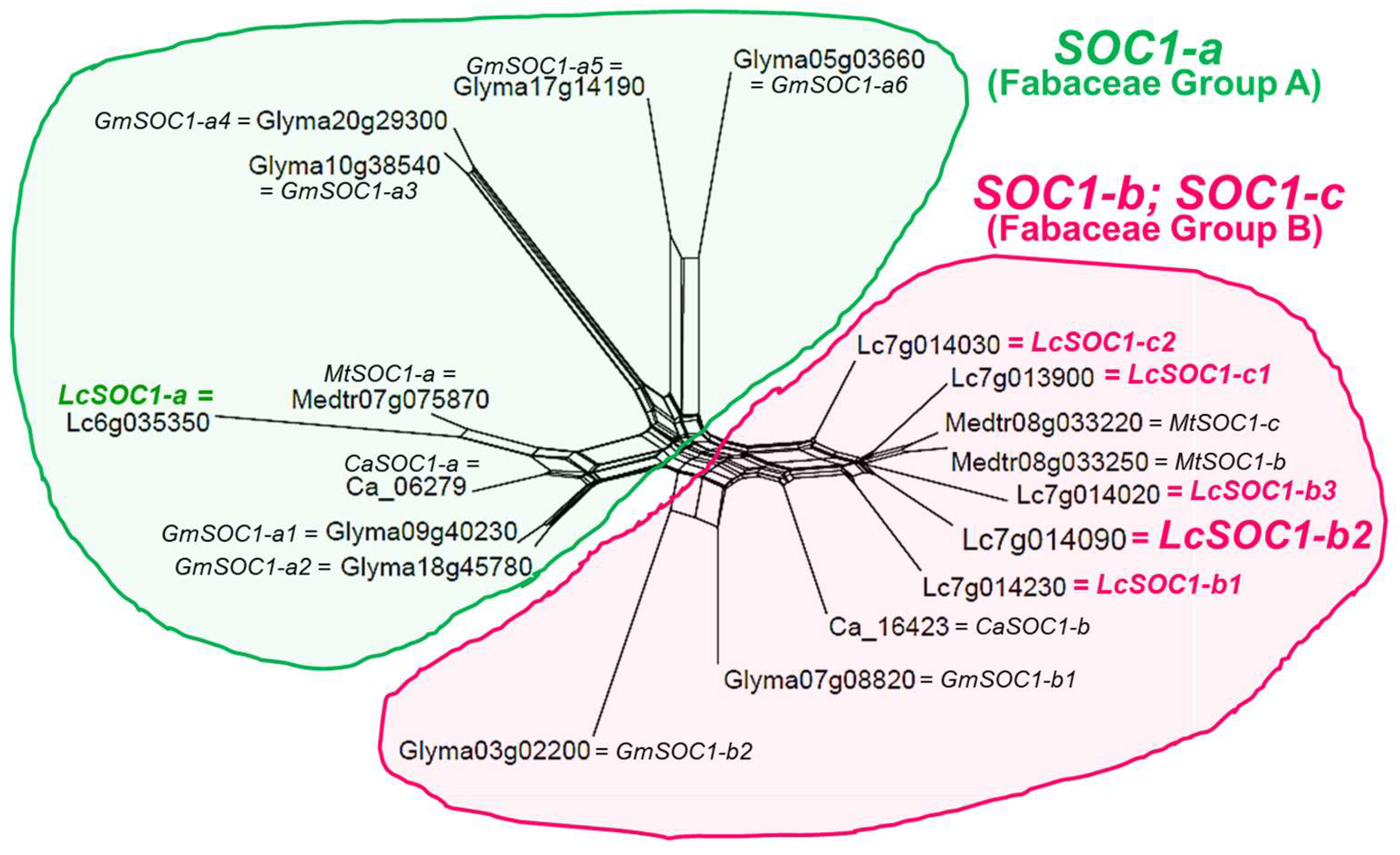 Plants 14 01157 g003