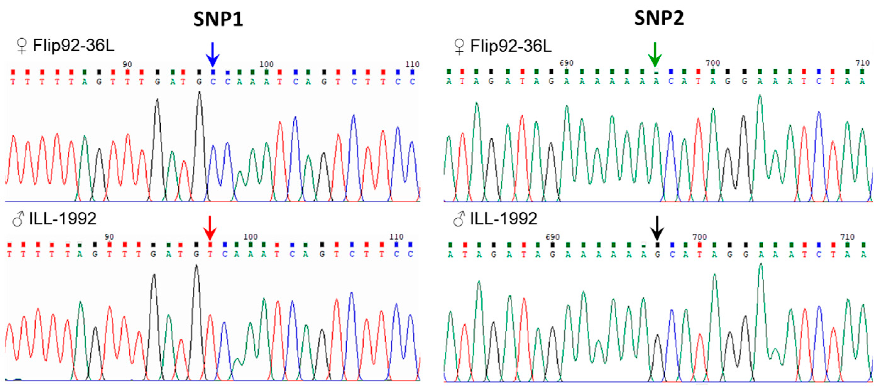 Plants 14 01157 g005
