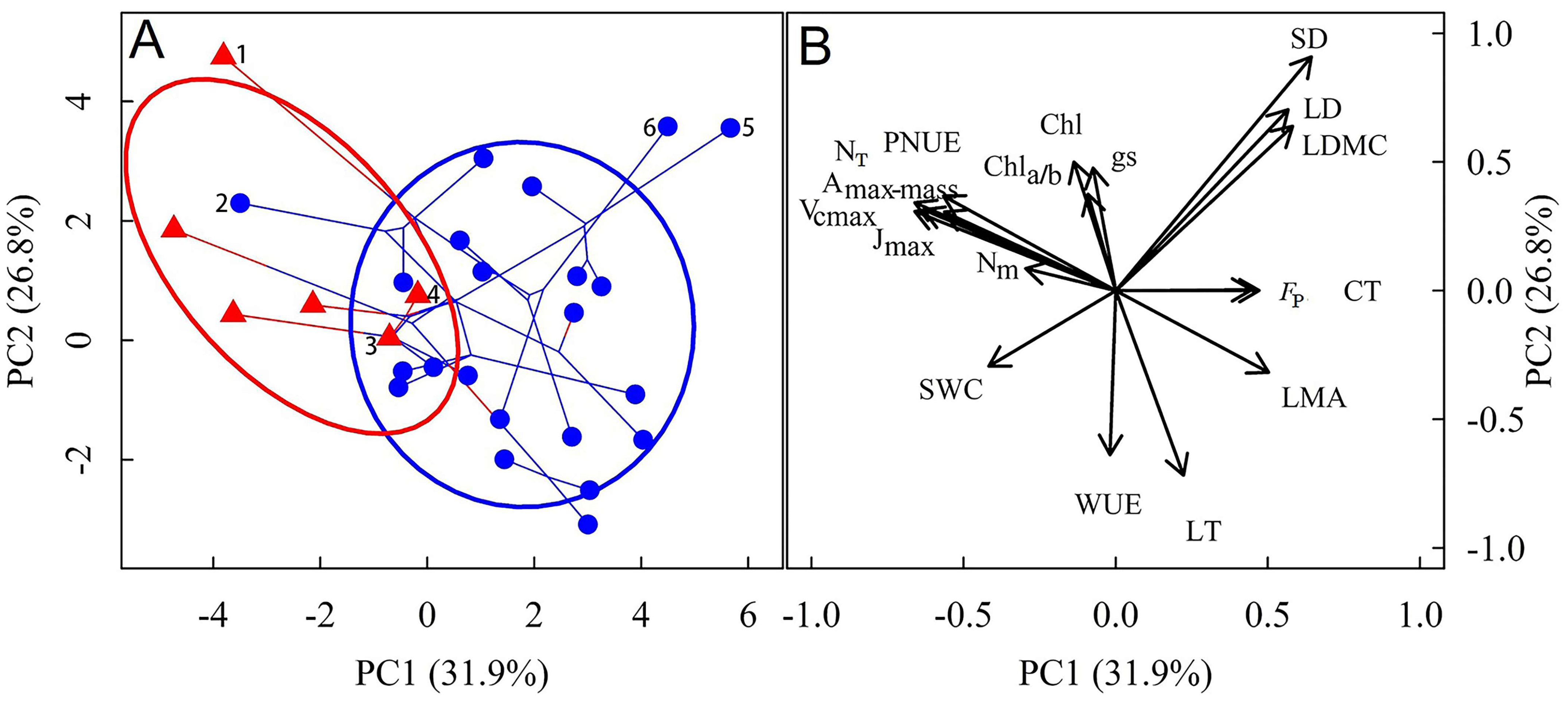 Plants 14 01161 g002