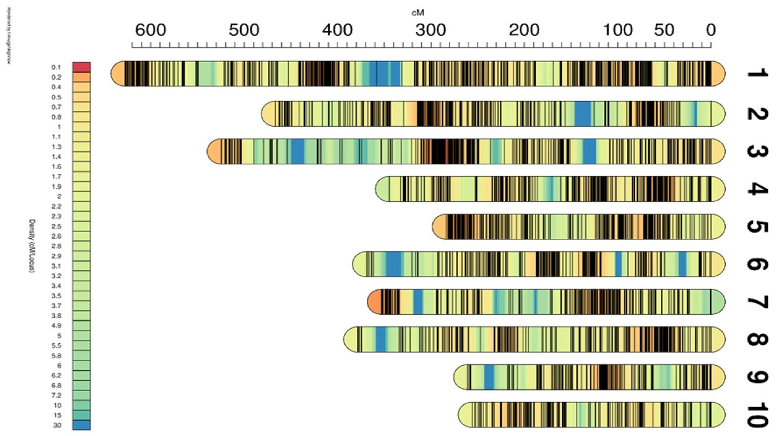 Plants 14 01181 g003 Plants 14 01181 g003