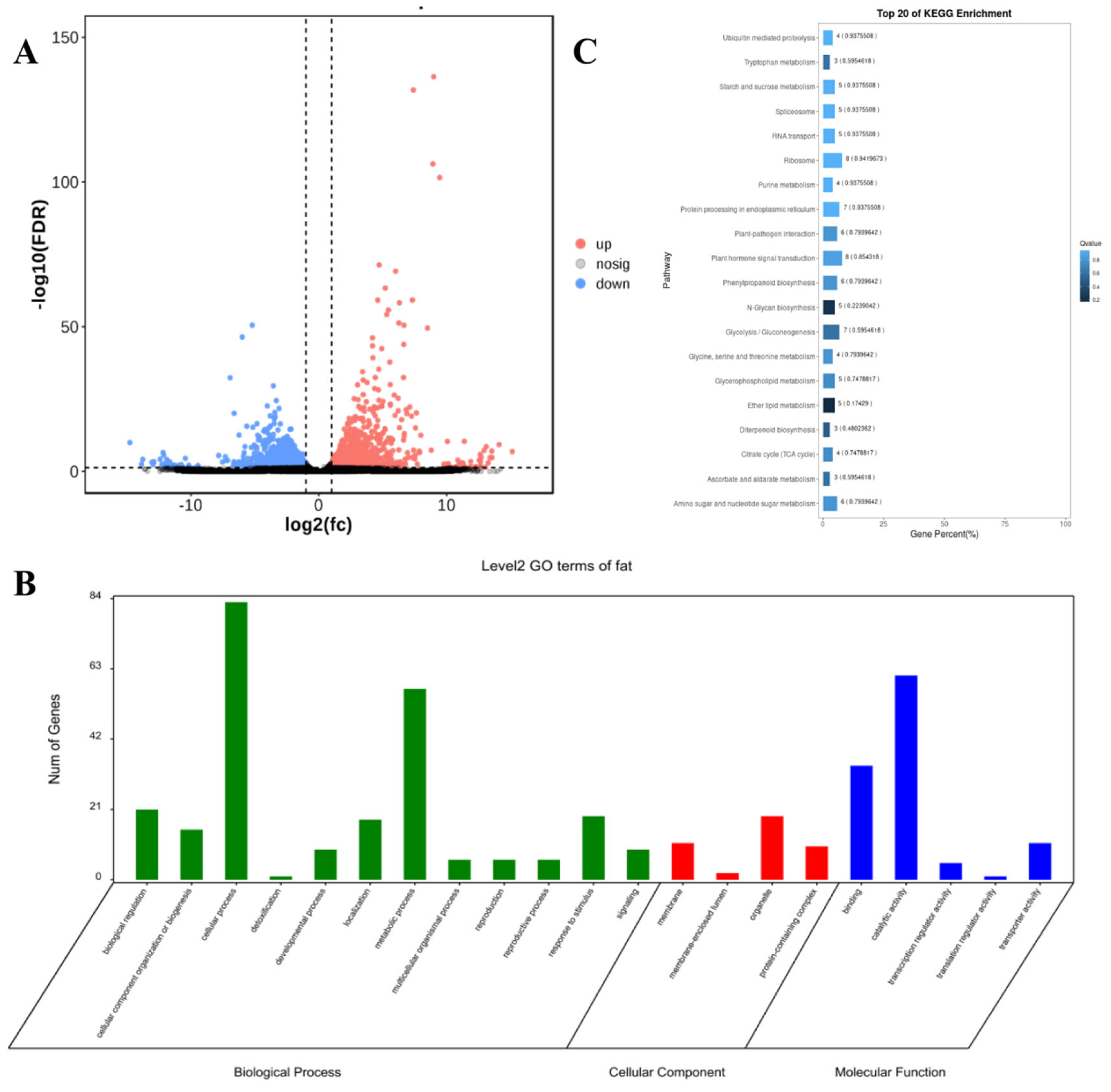 Plants 14 01181 g005 Plants 14 01181 g005