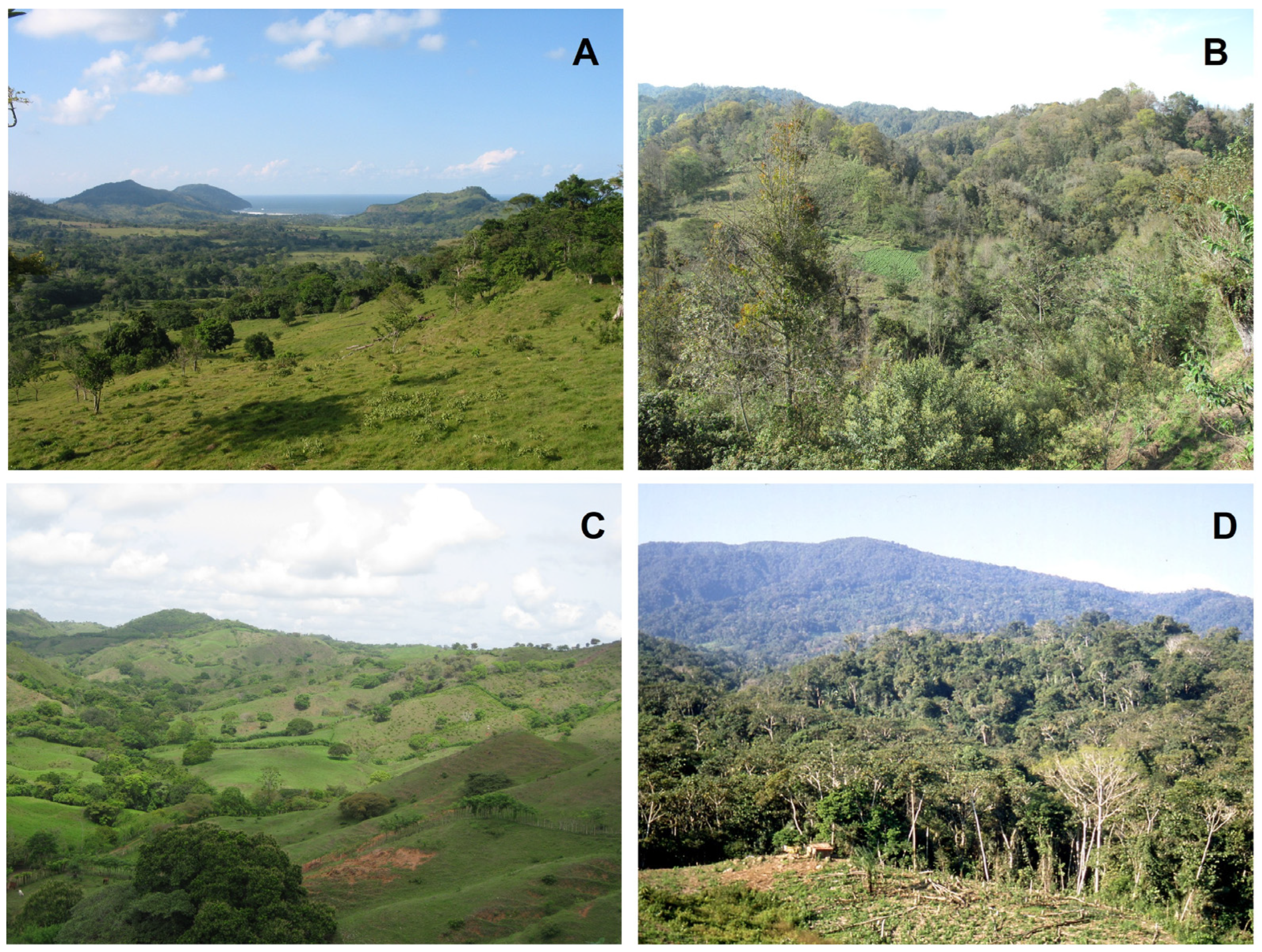 Plants 14 01188 g004