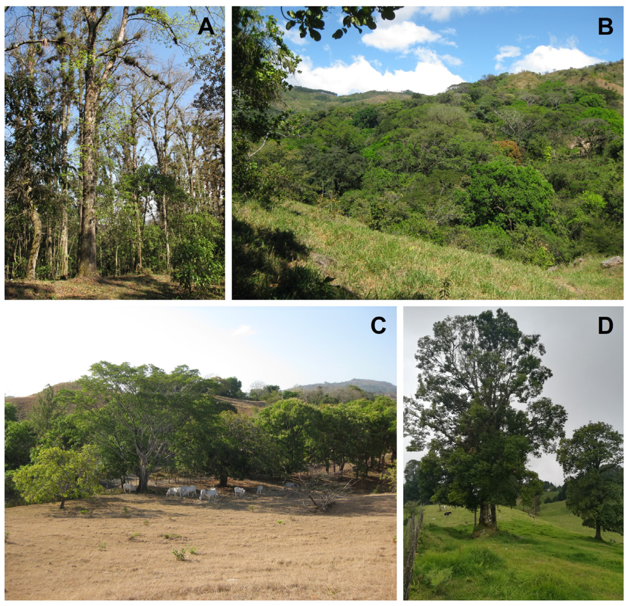 Plants 14 01188 g005