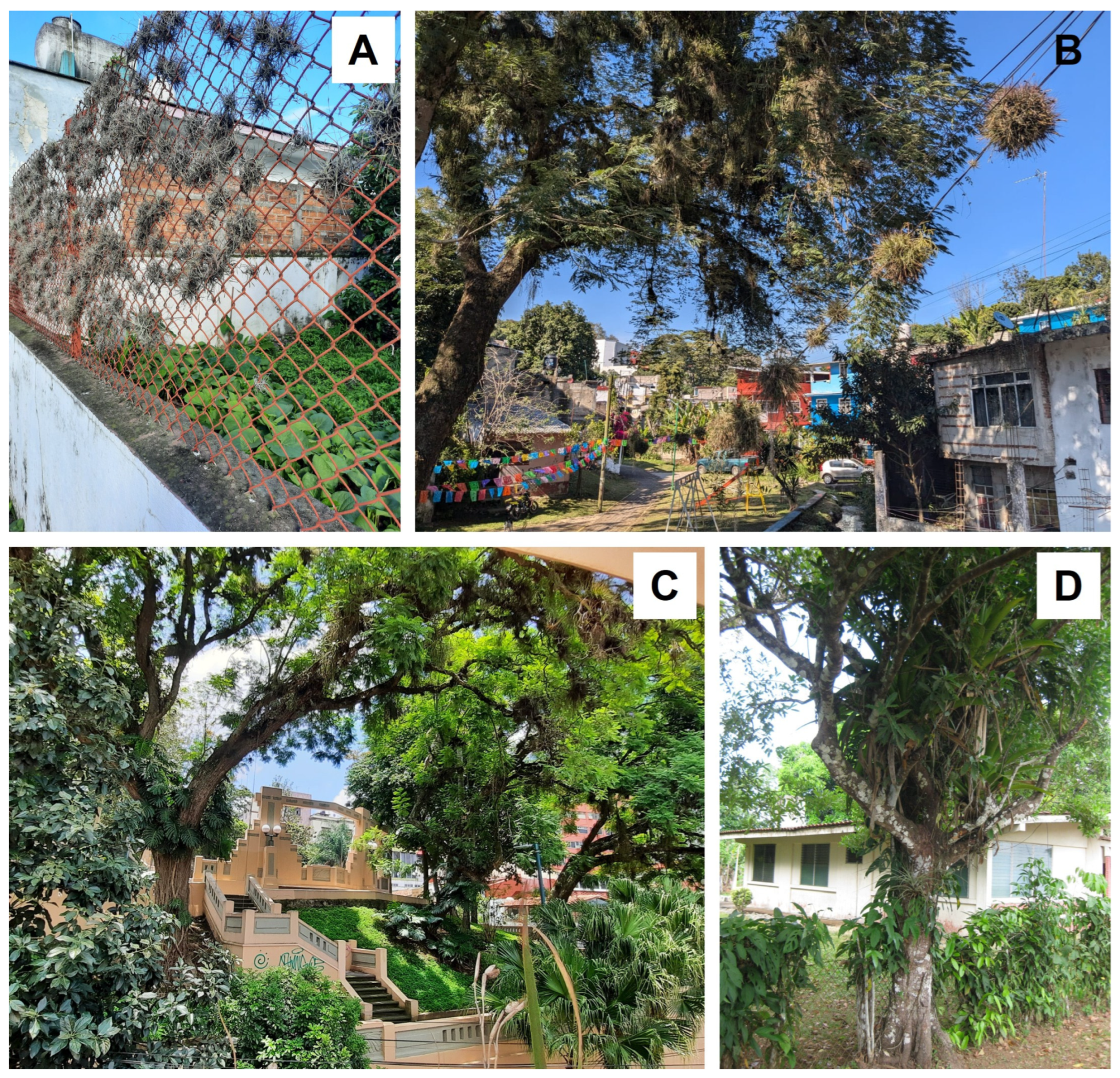 Plants 14 01188 g013