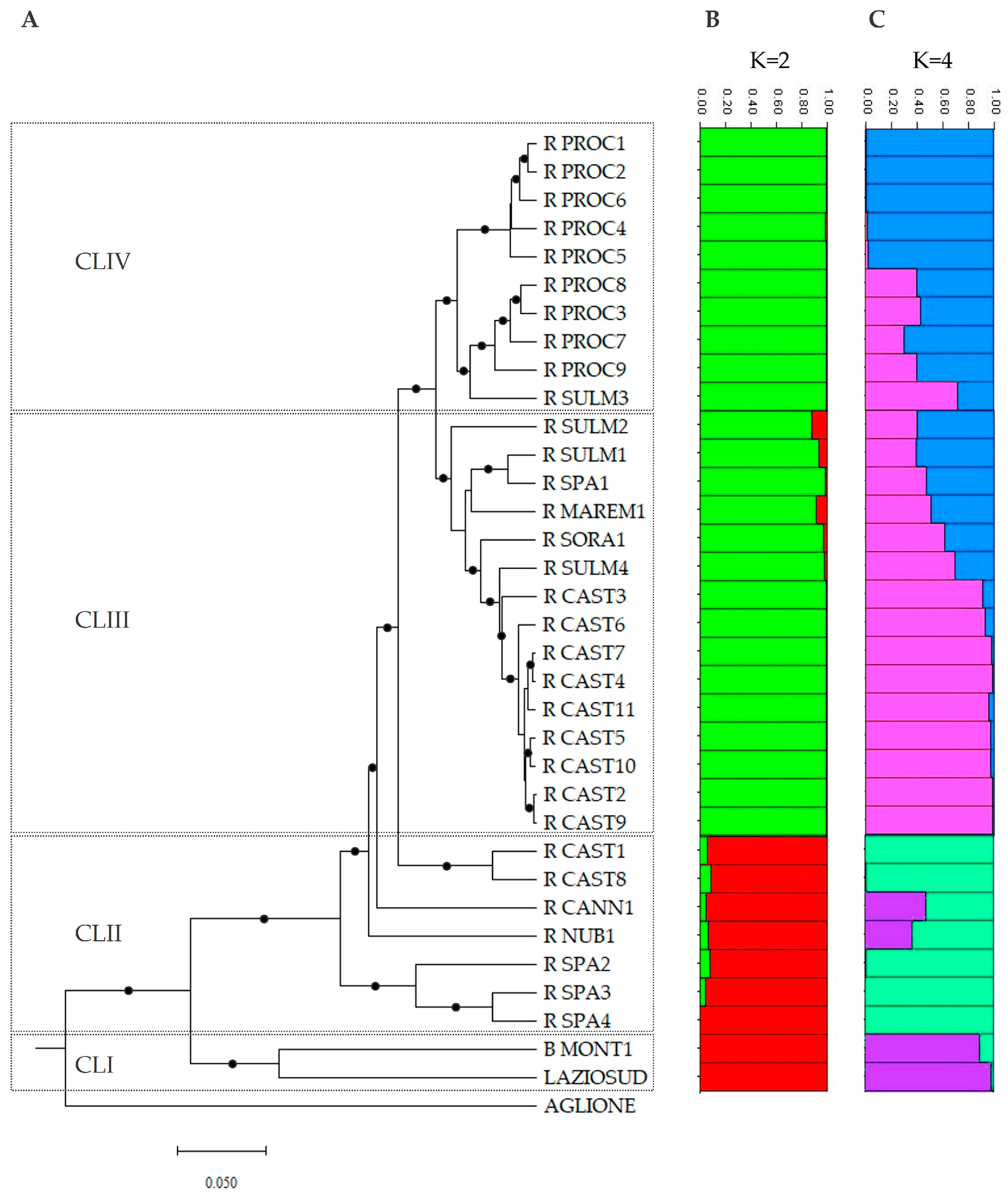 Plants 14 01189 g001