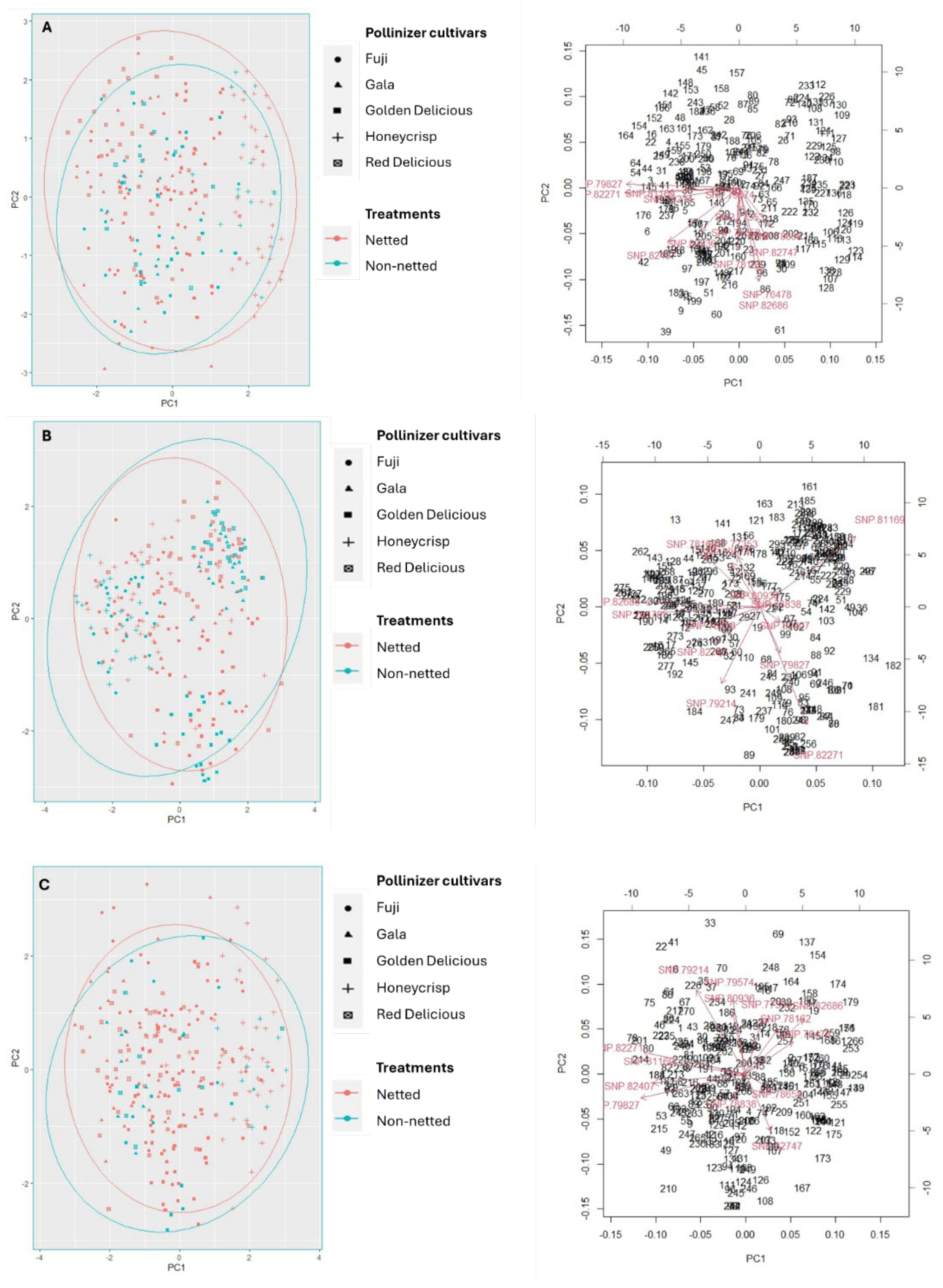 Plants 14 01196 g002