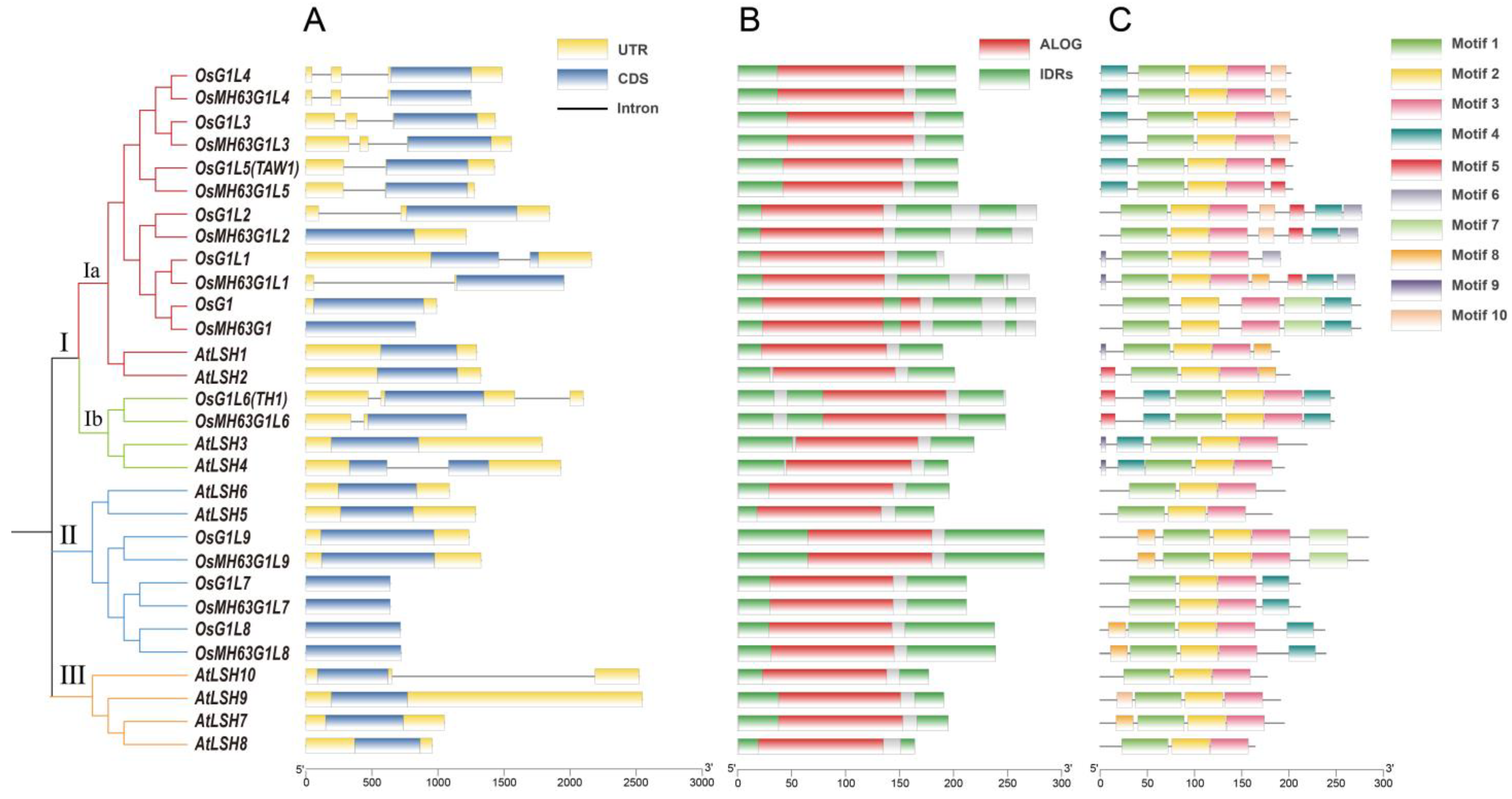 Plants 14 01208 g001
