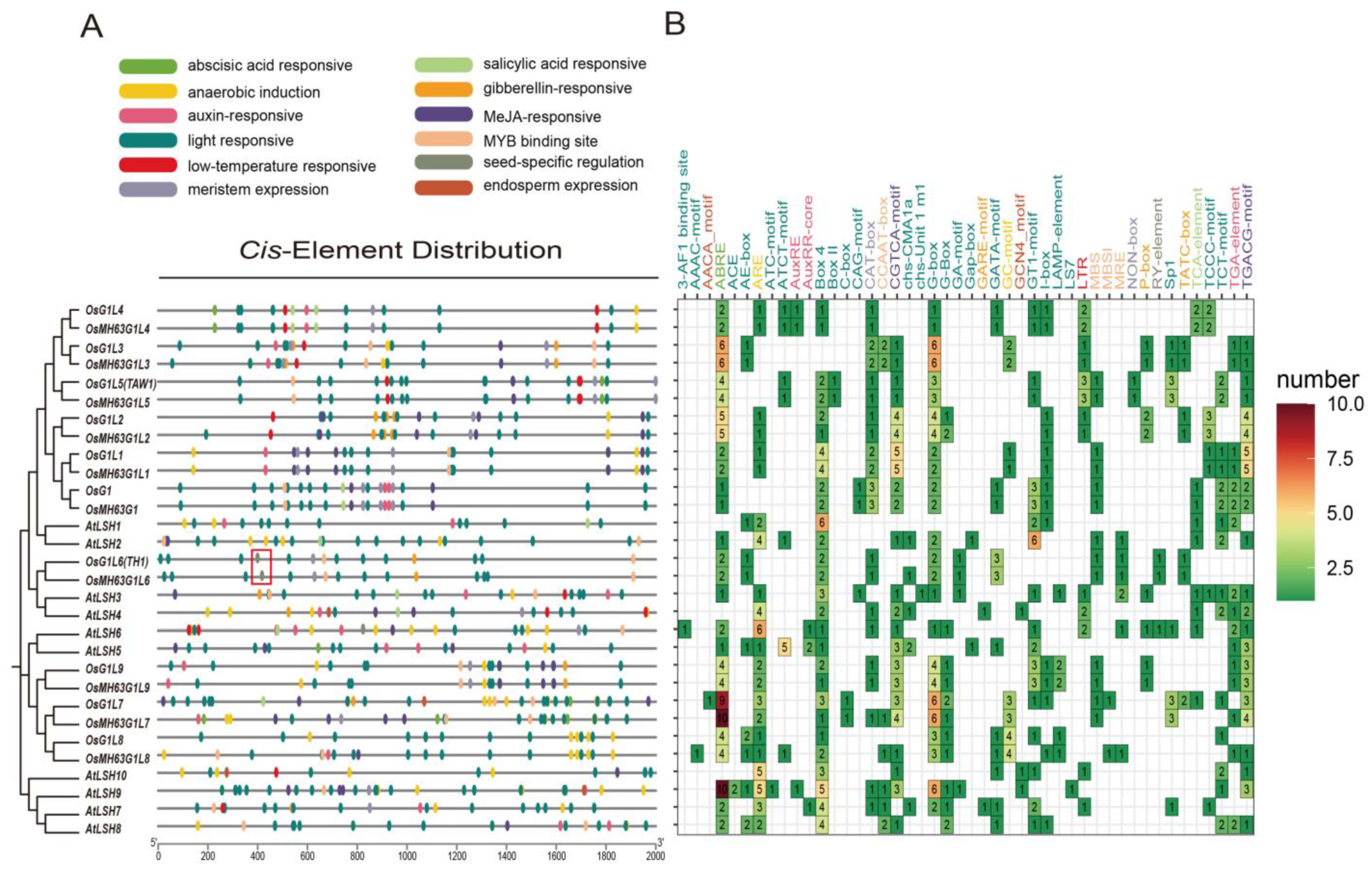 Plants 14 01208 g004