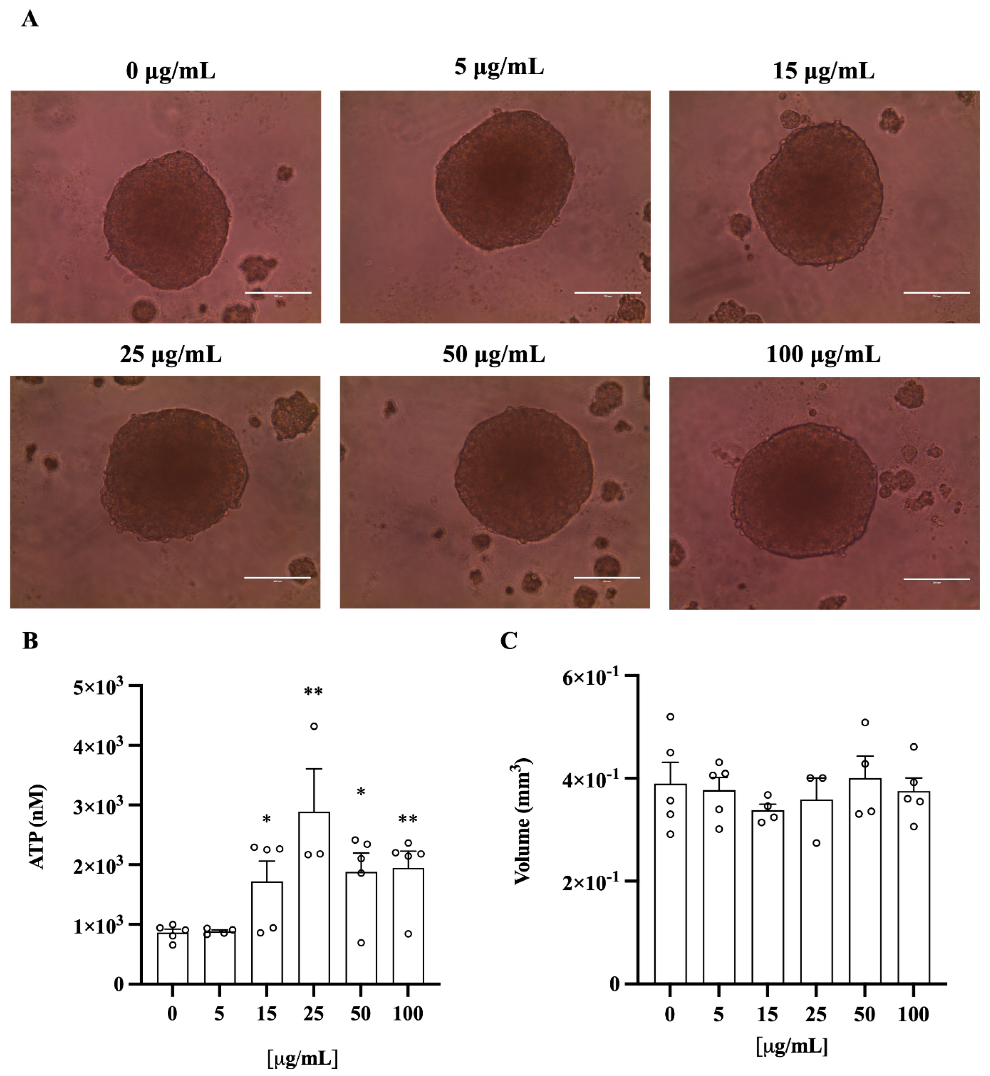 Plants 14 01209 g008