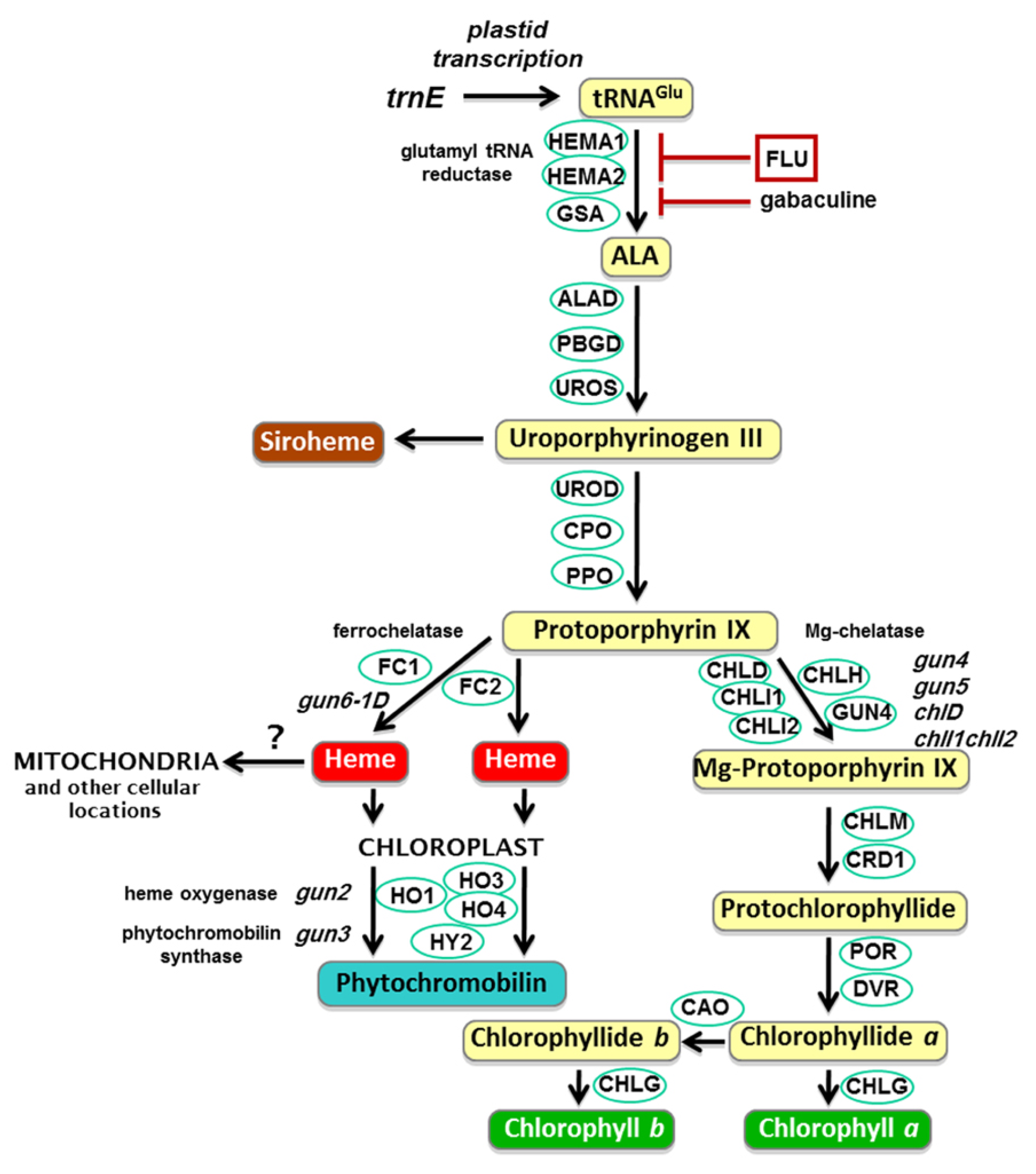 Plants 14 01211 g001
