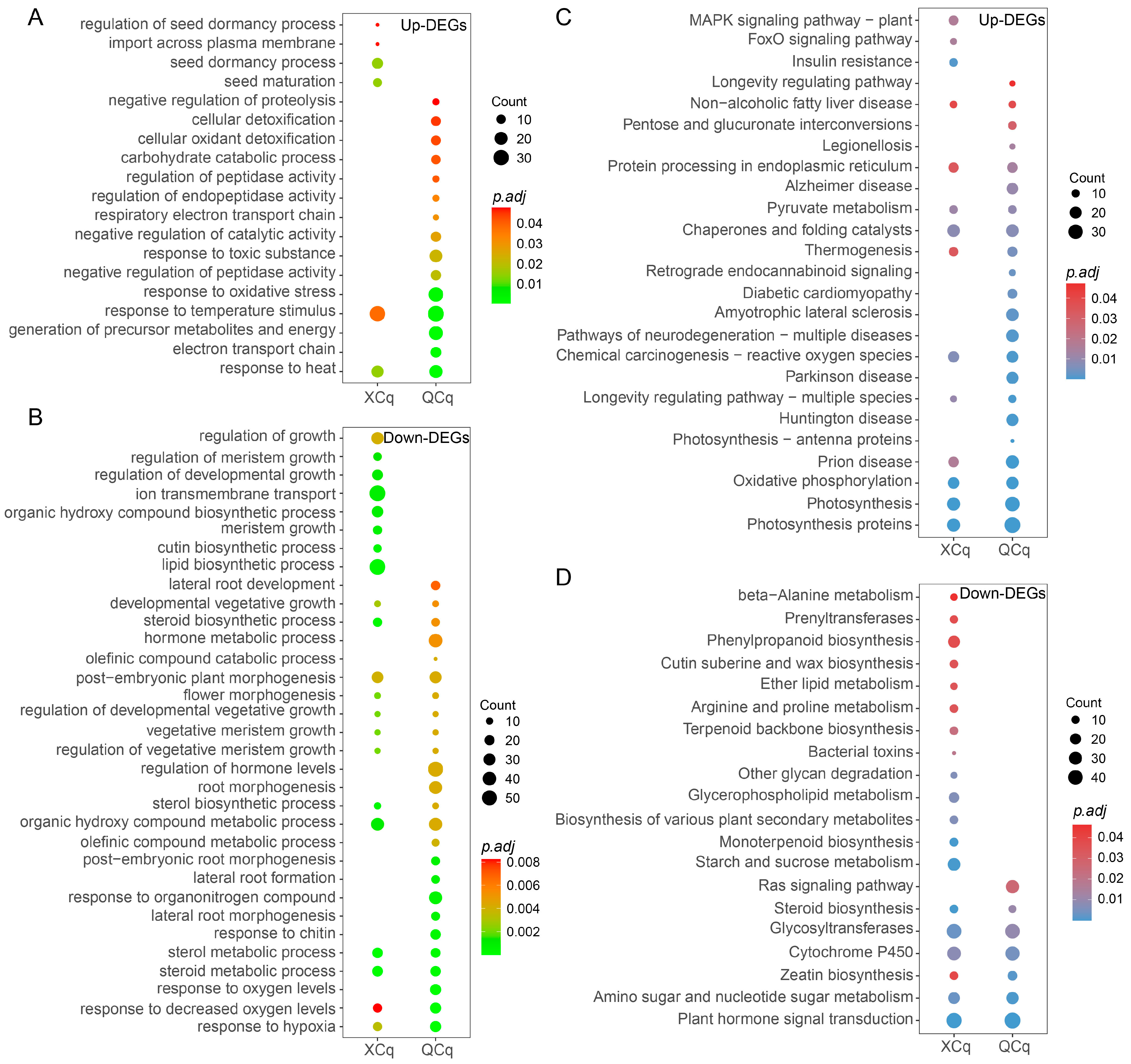 Plants 14 01212 g003